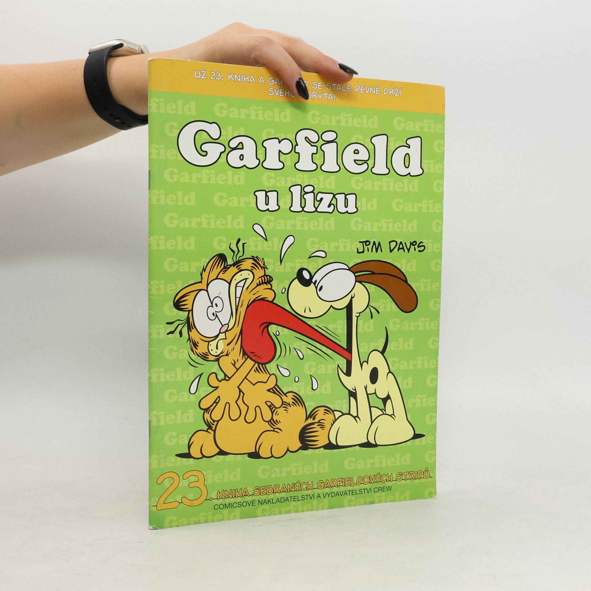 Jim Davis Garfield u lizu