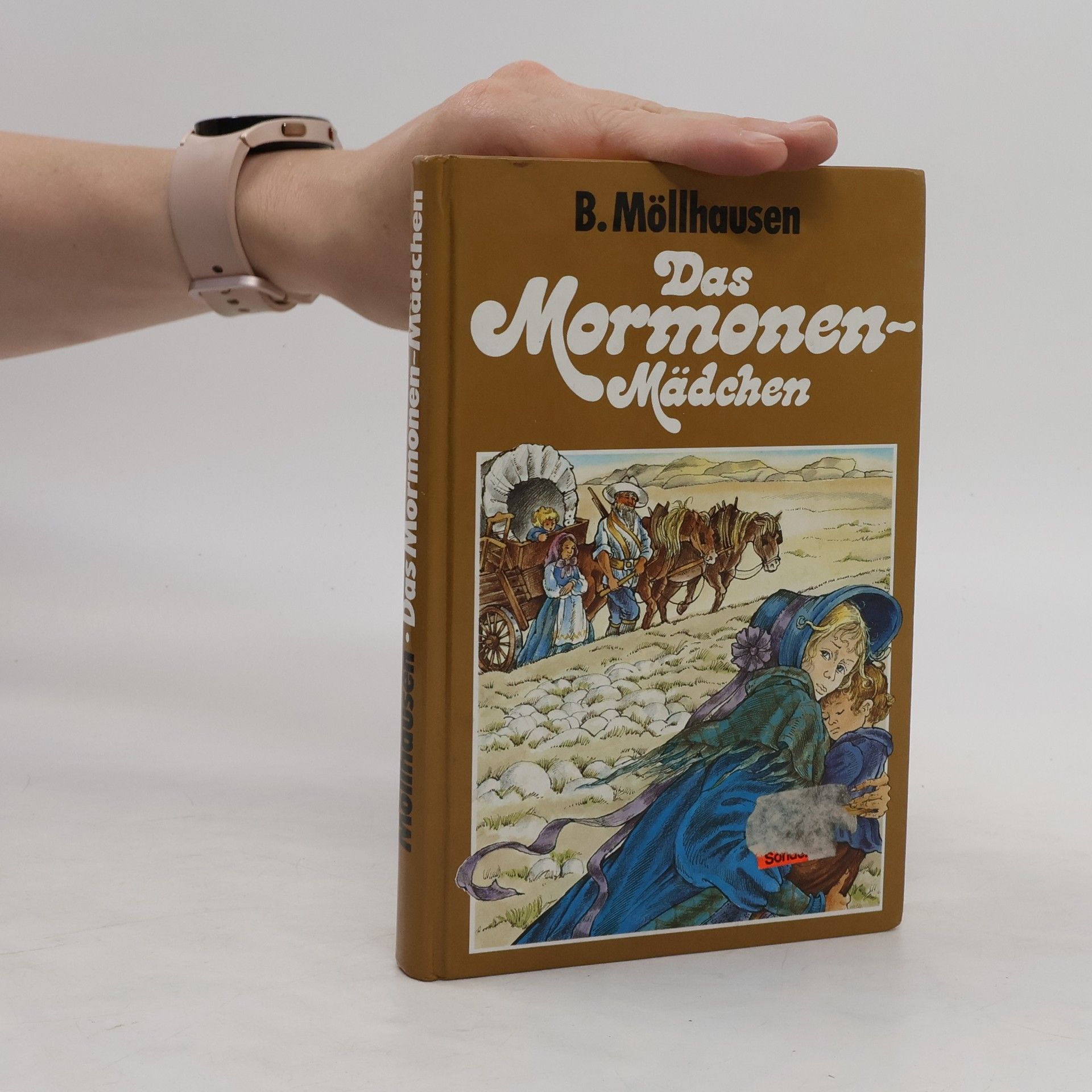 Balduin Möllhausen Das Mormonenmädchen