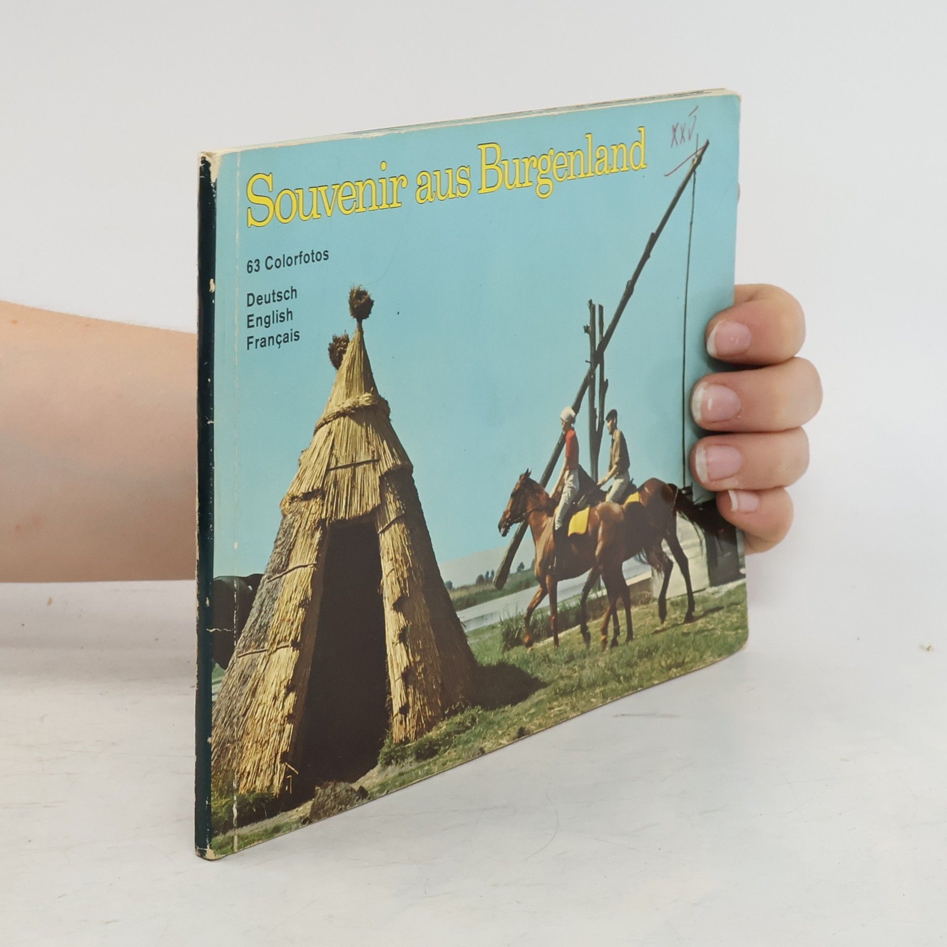 Collectif d'auteurs Souvenir aus Burgenland