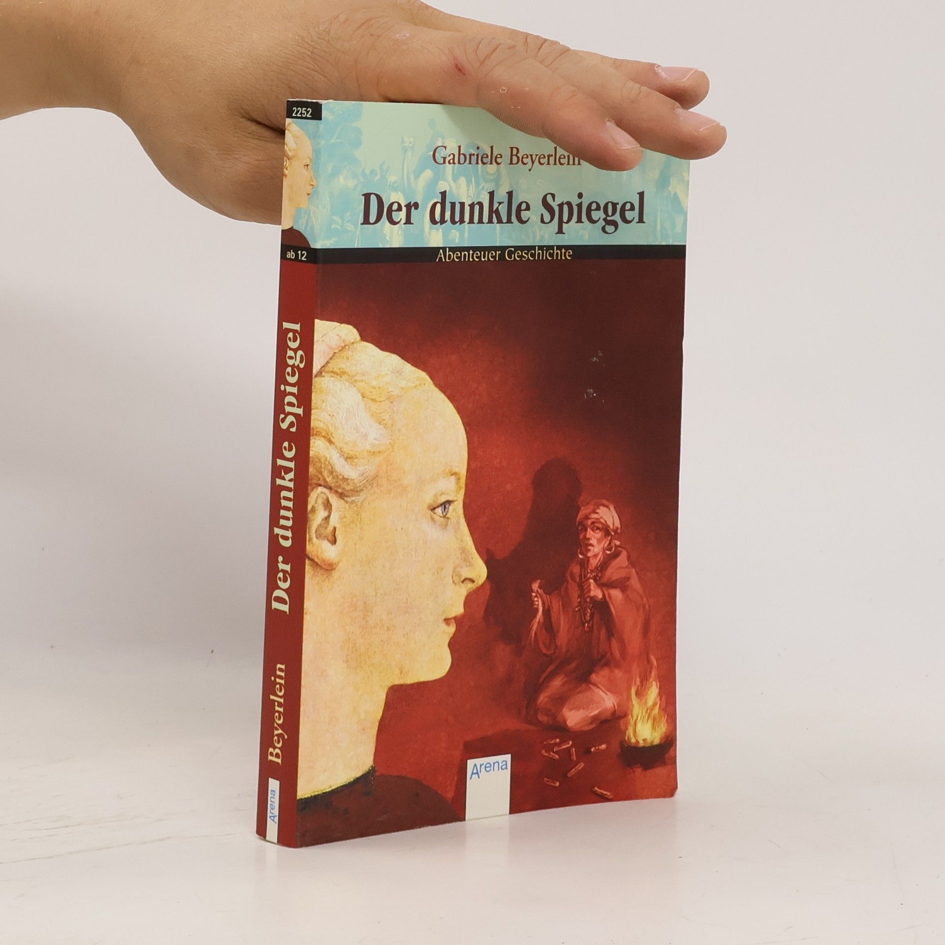 Gabriele Beyerlein Der dunkle Spiegel