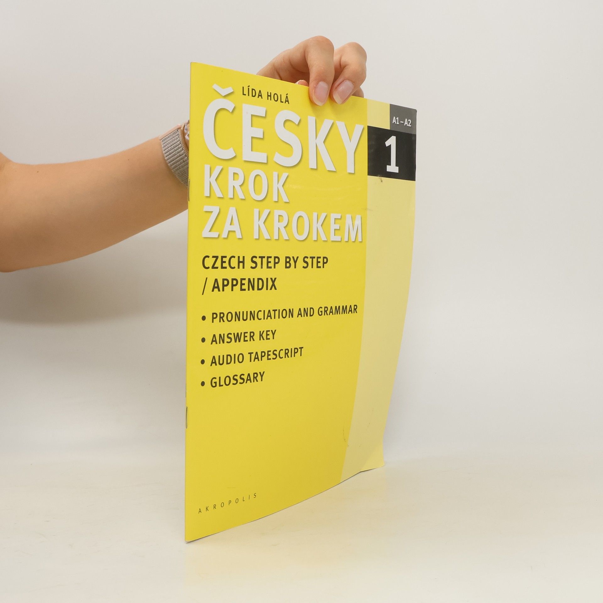 Lída Holá Česky krok za krokem 1. A1-A2 příloha