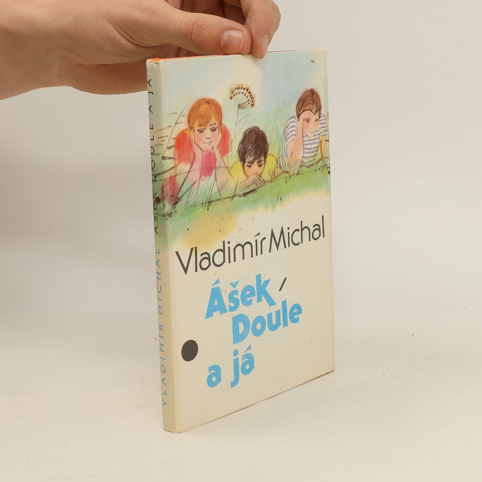 Vladimír Michal Ášek, Doule a já