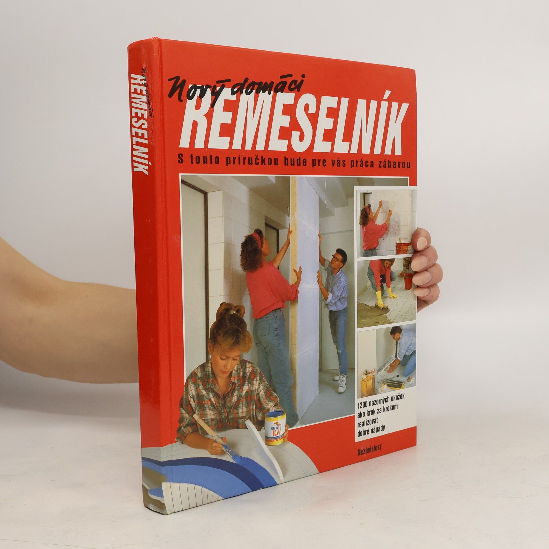 kolektiv Nový domáci remeselník