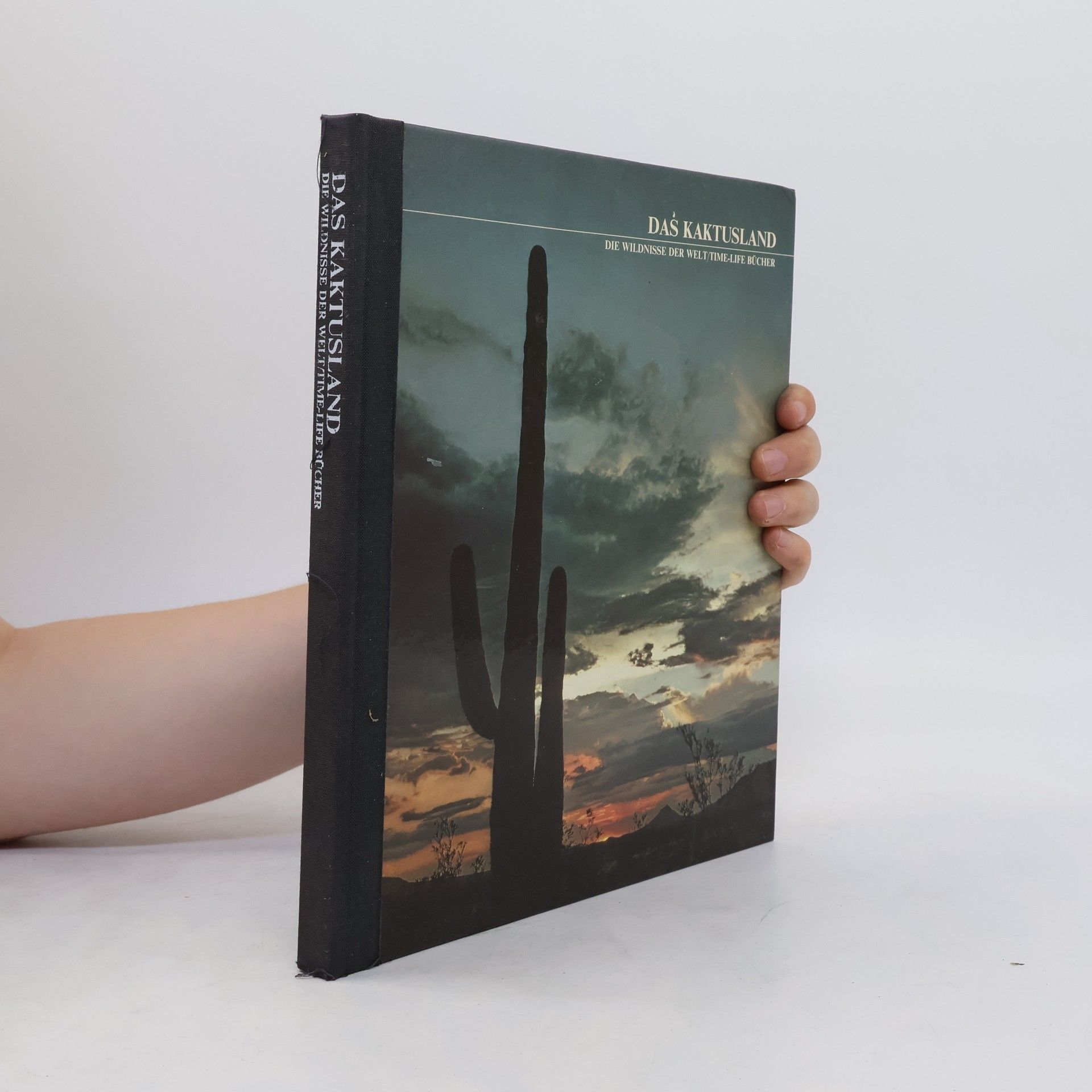 Edward Abbey Das Kaktusland