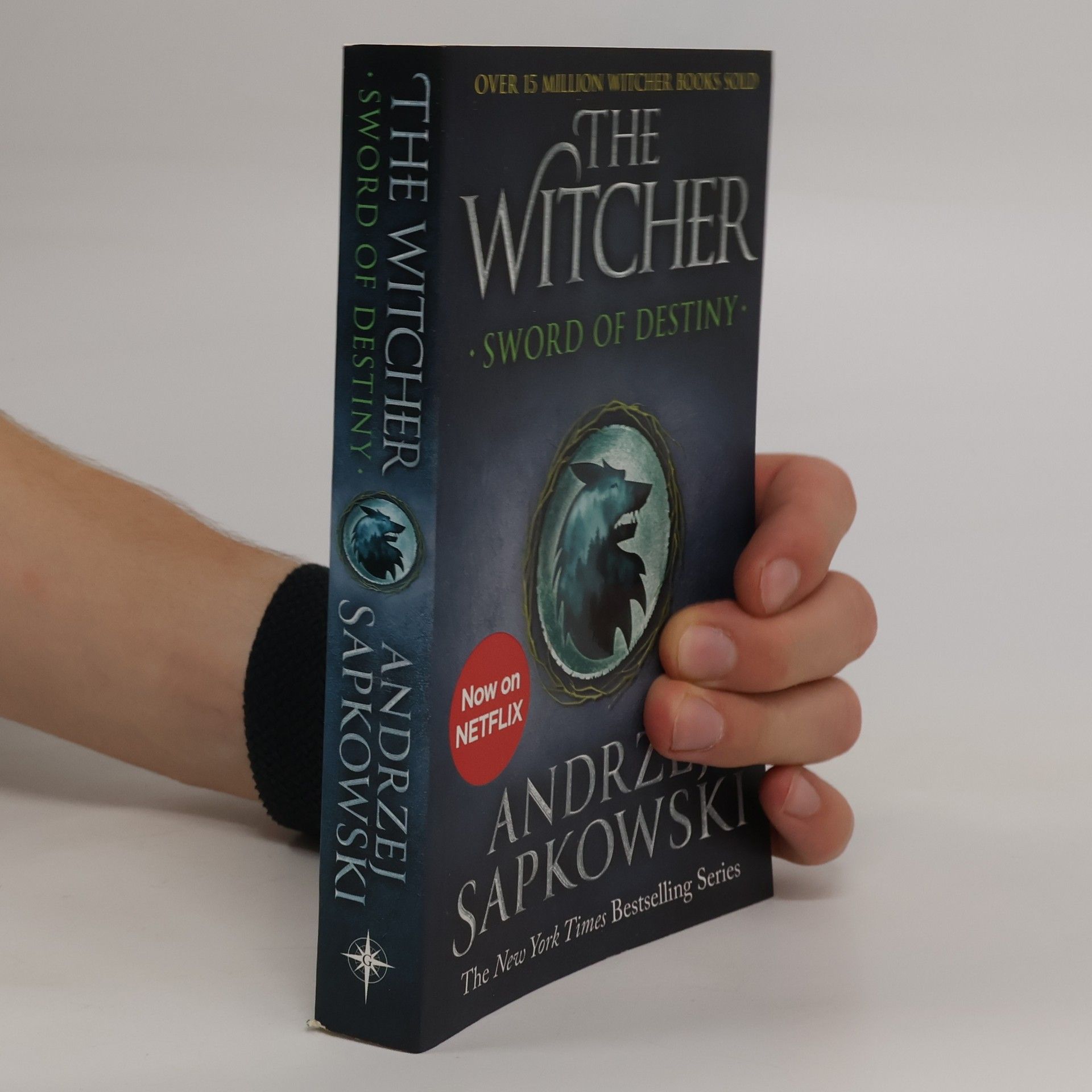 Andrzej Sapkowski The Witcher: Sword of destiny