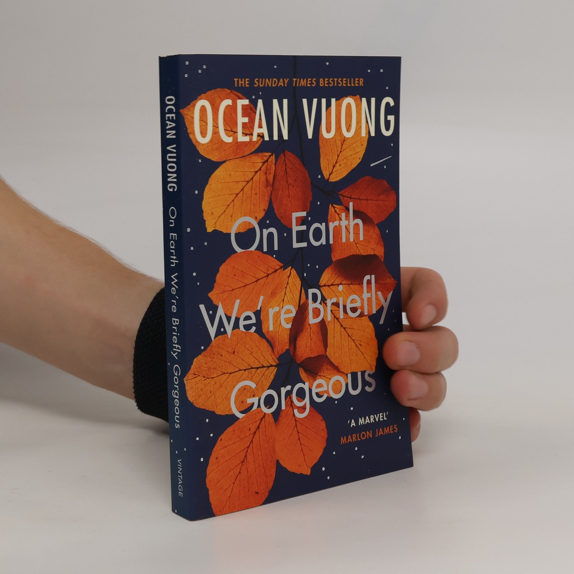 Ocean Vuong On Earth We're Briefly Gorgeous