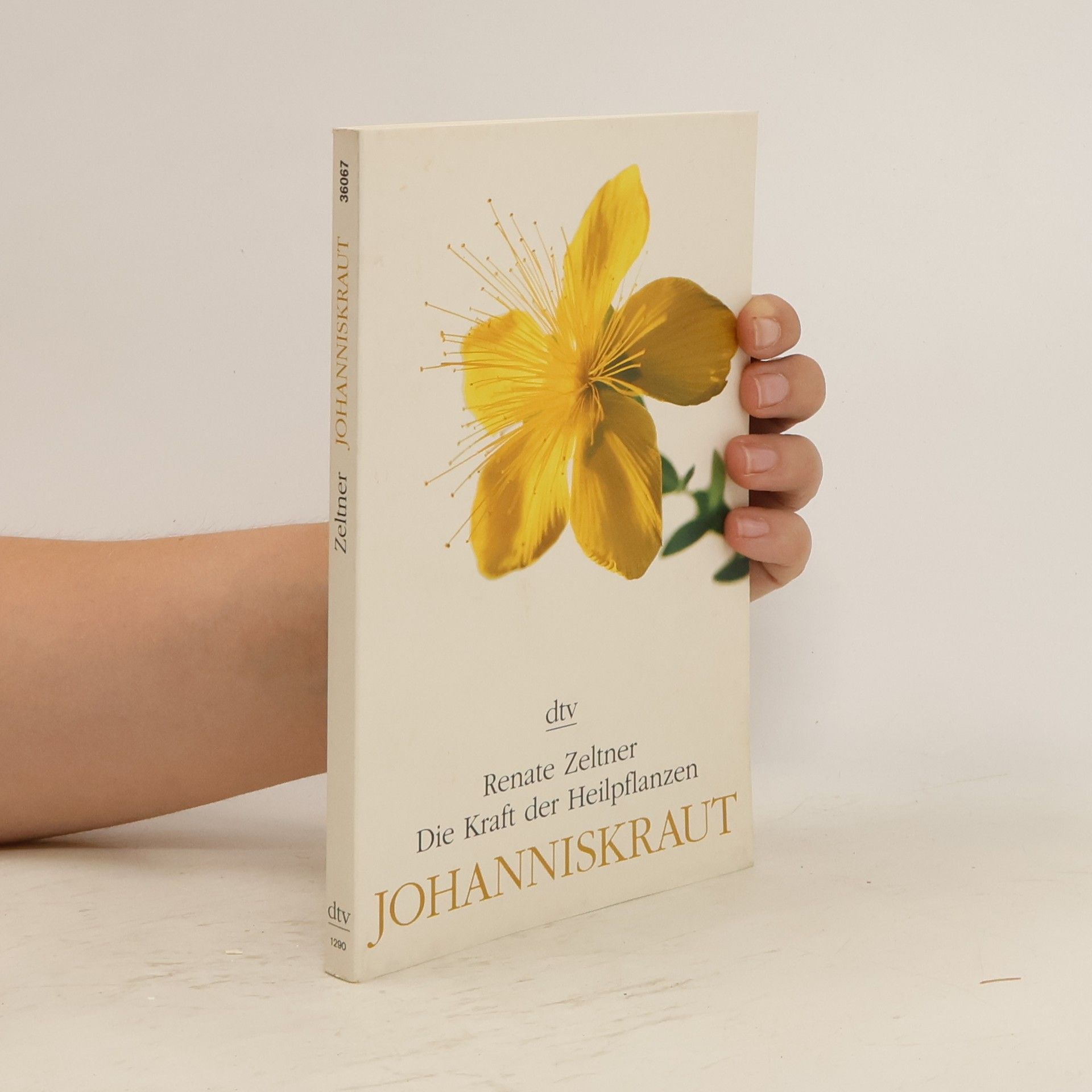 Renate Zeltner Johanniskraut