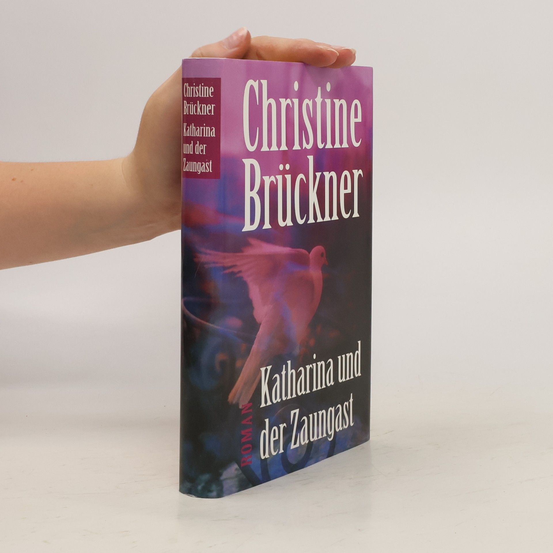 Christine Brückner Katharina und der Zaungast