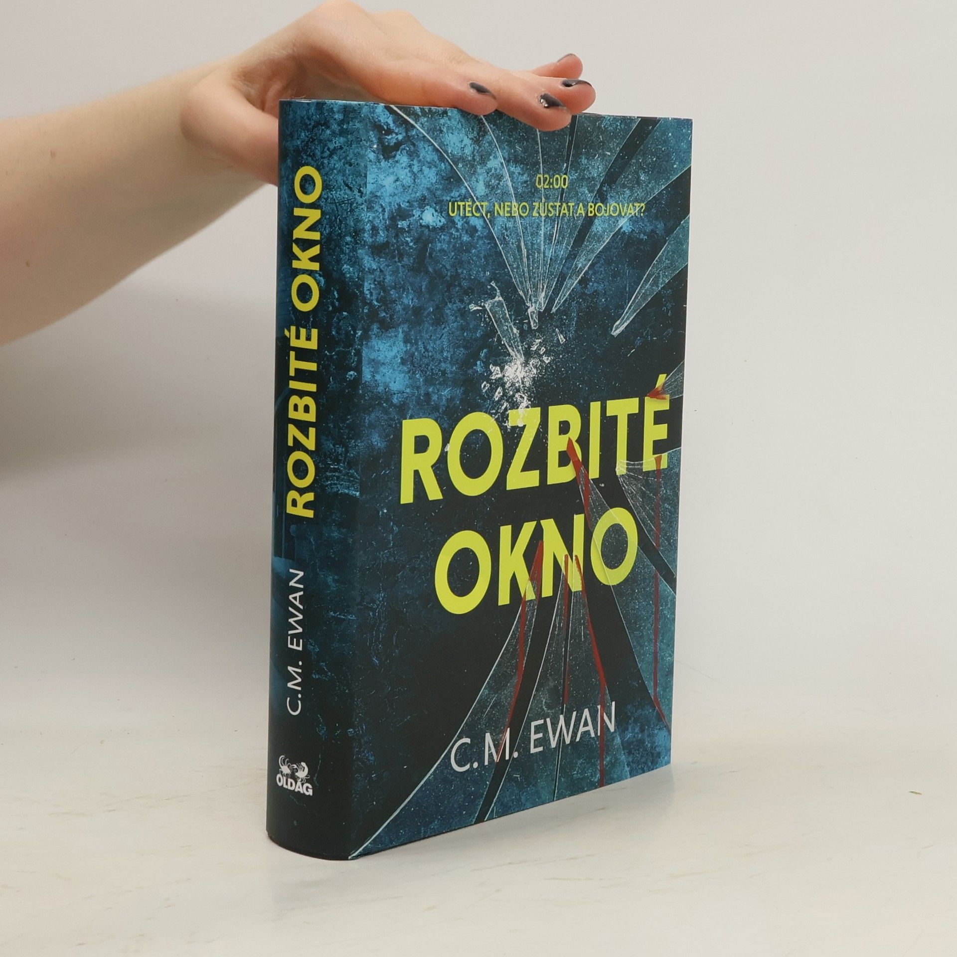 Chris Ewan Rozbité okno