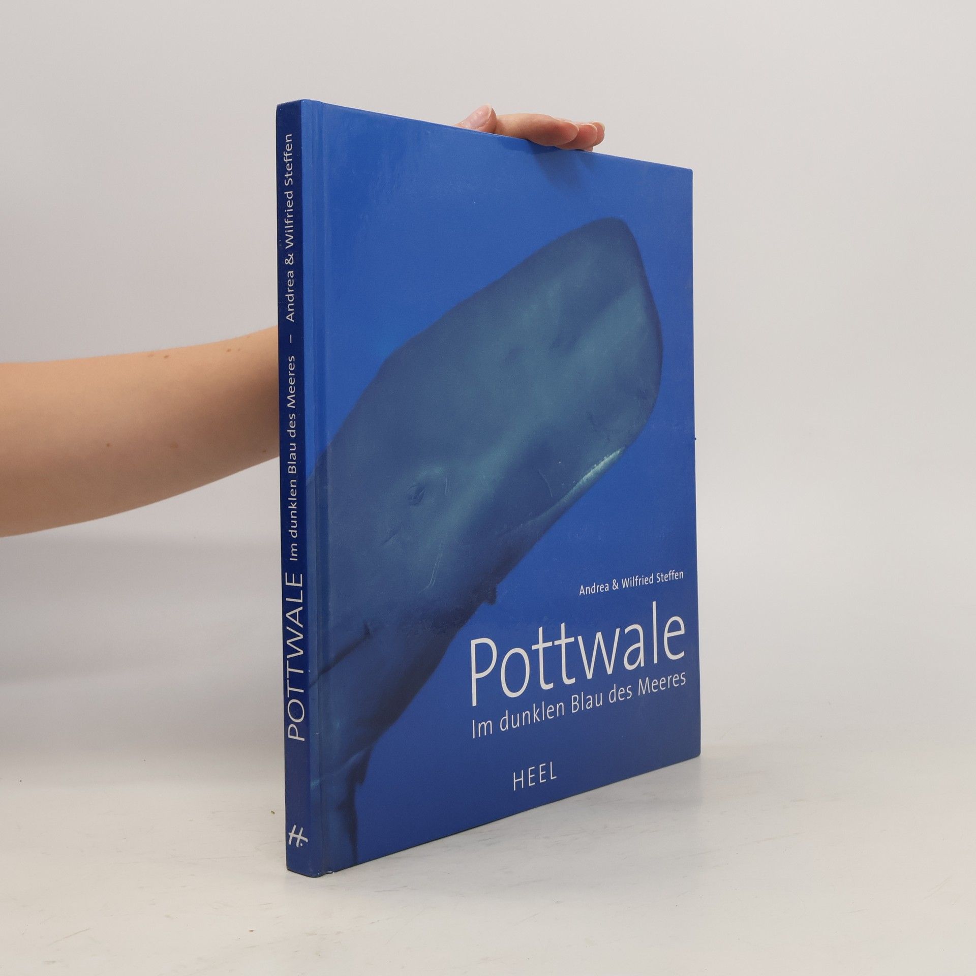 Andrea Steffen Pottwale