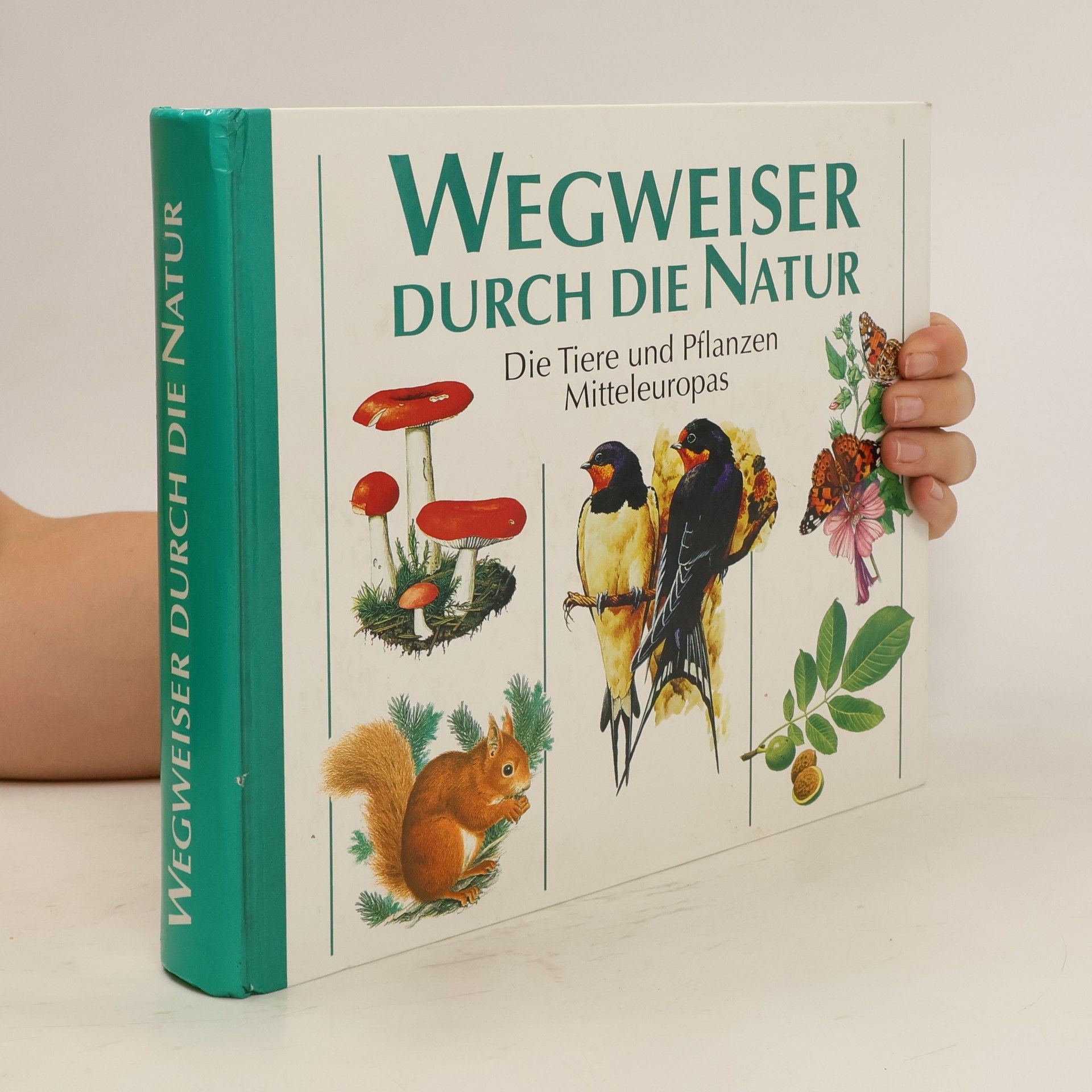 Autorenkollektiv Wegweiser durch die Natur