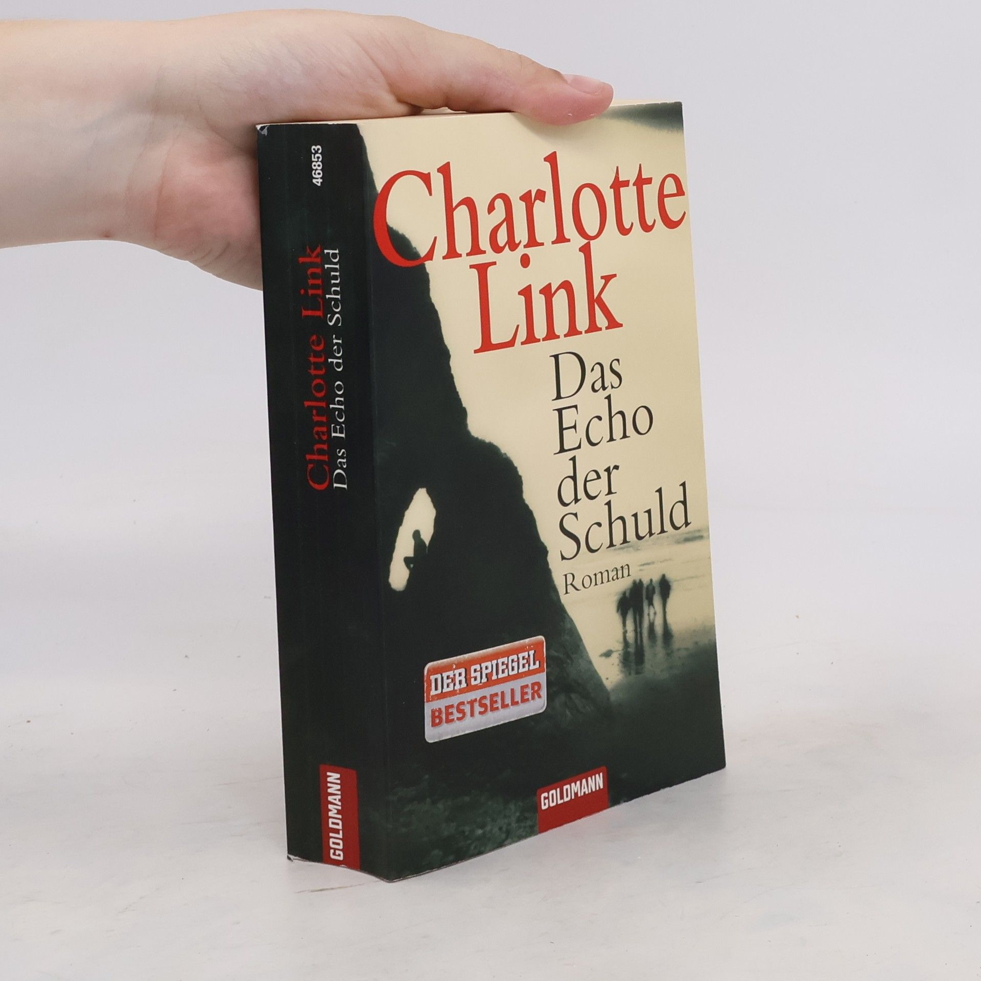 Charlotte Link Das Echo der Schuld