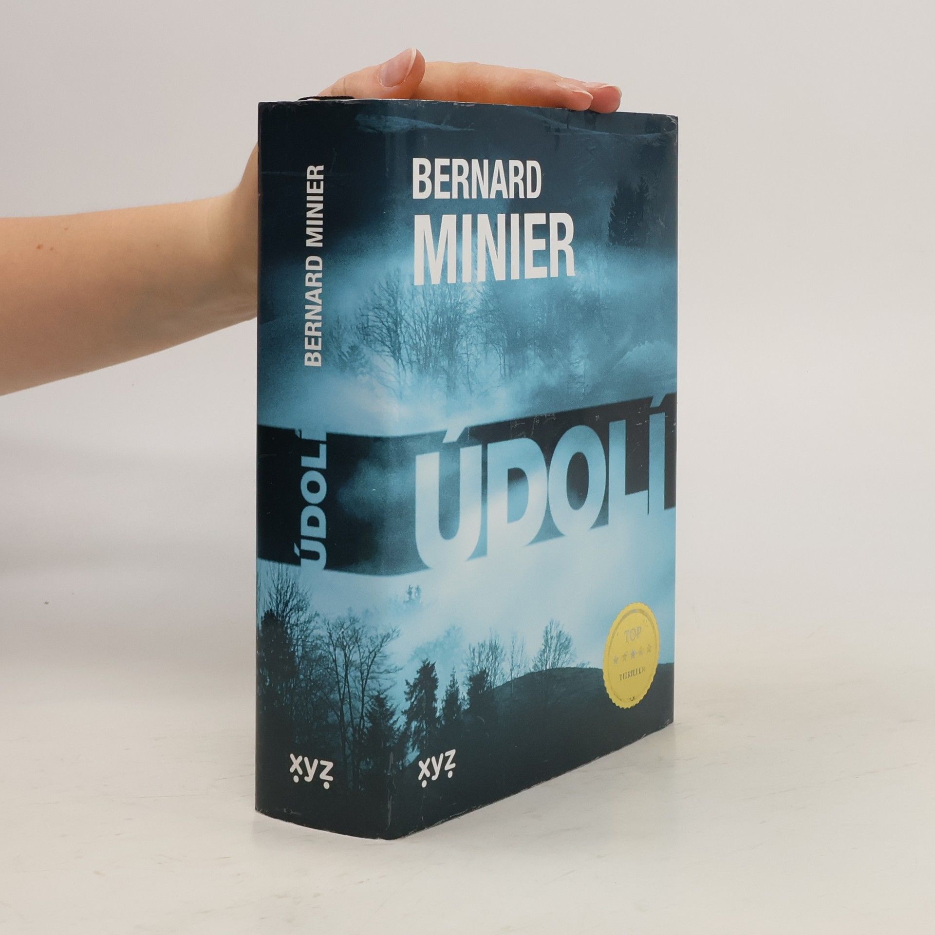 Bernard Minier Údolí