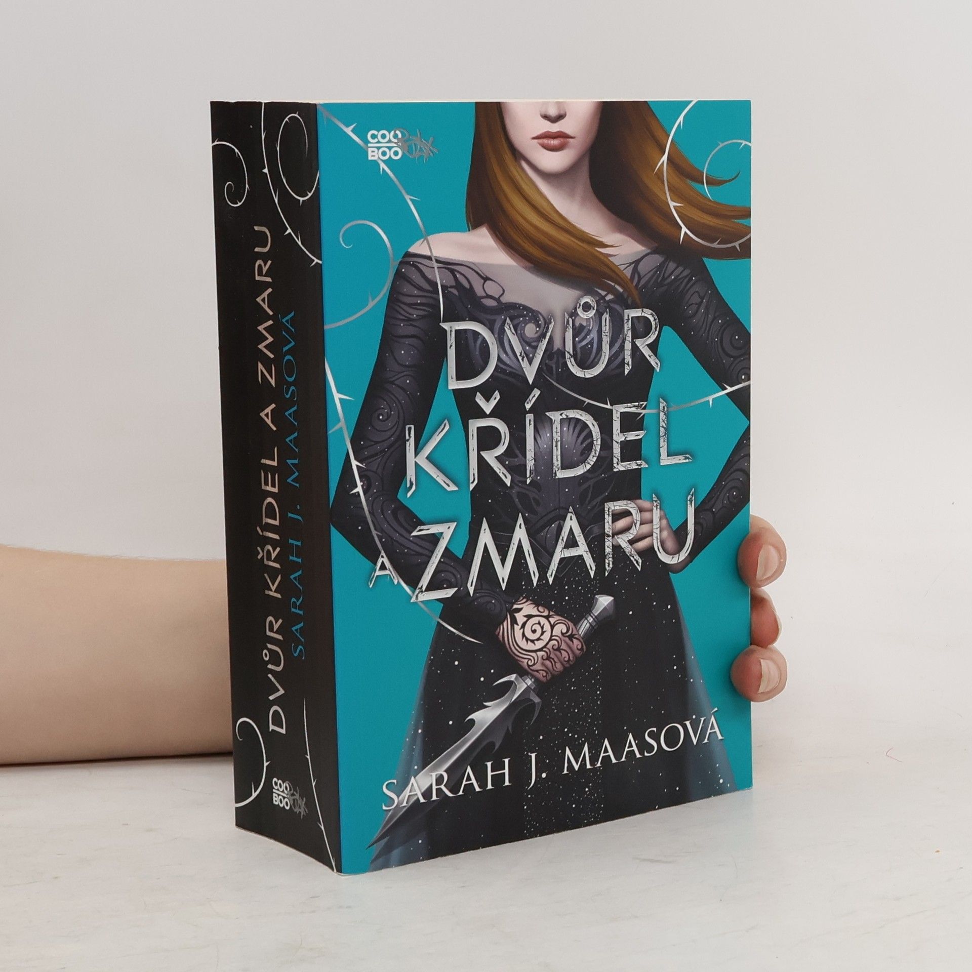 Sarah J. Maas Dvůr křídel a zmaru