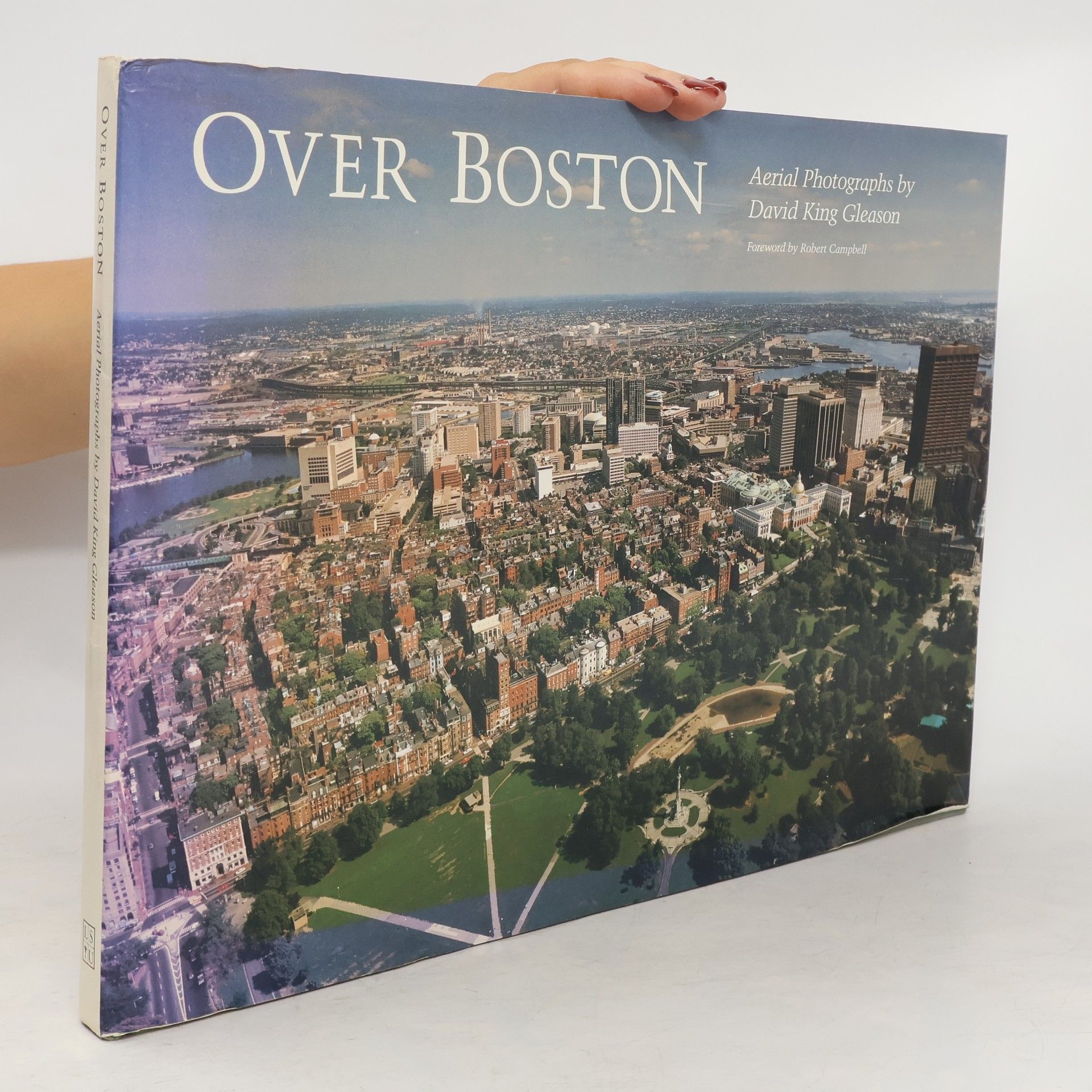 David King Gleason Over Boston