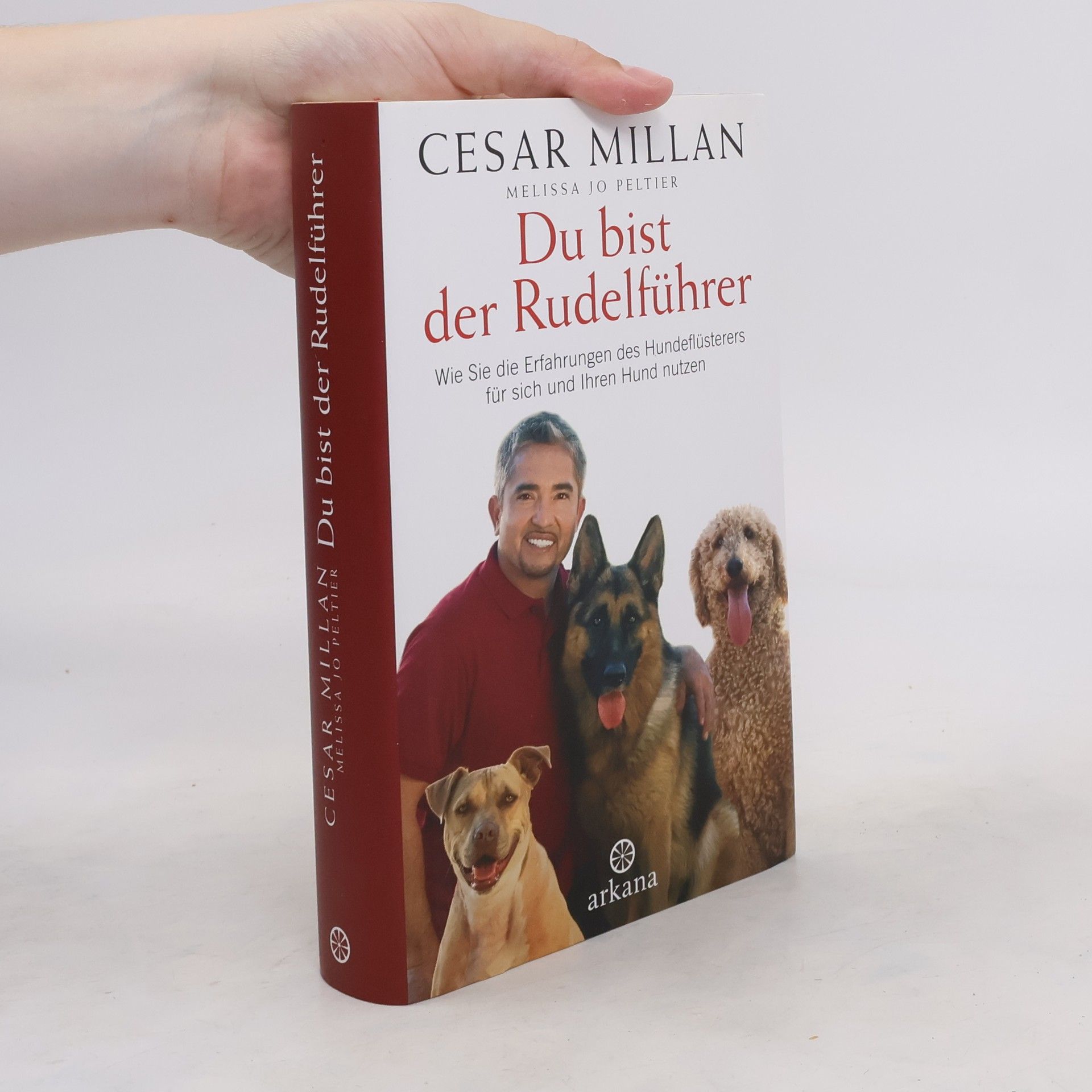 Cesar Millan Du bist der Rudelführer