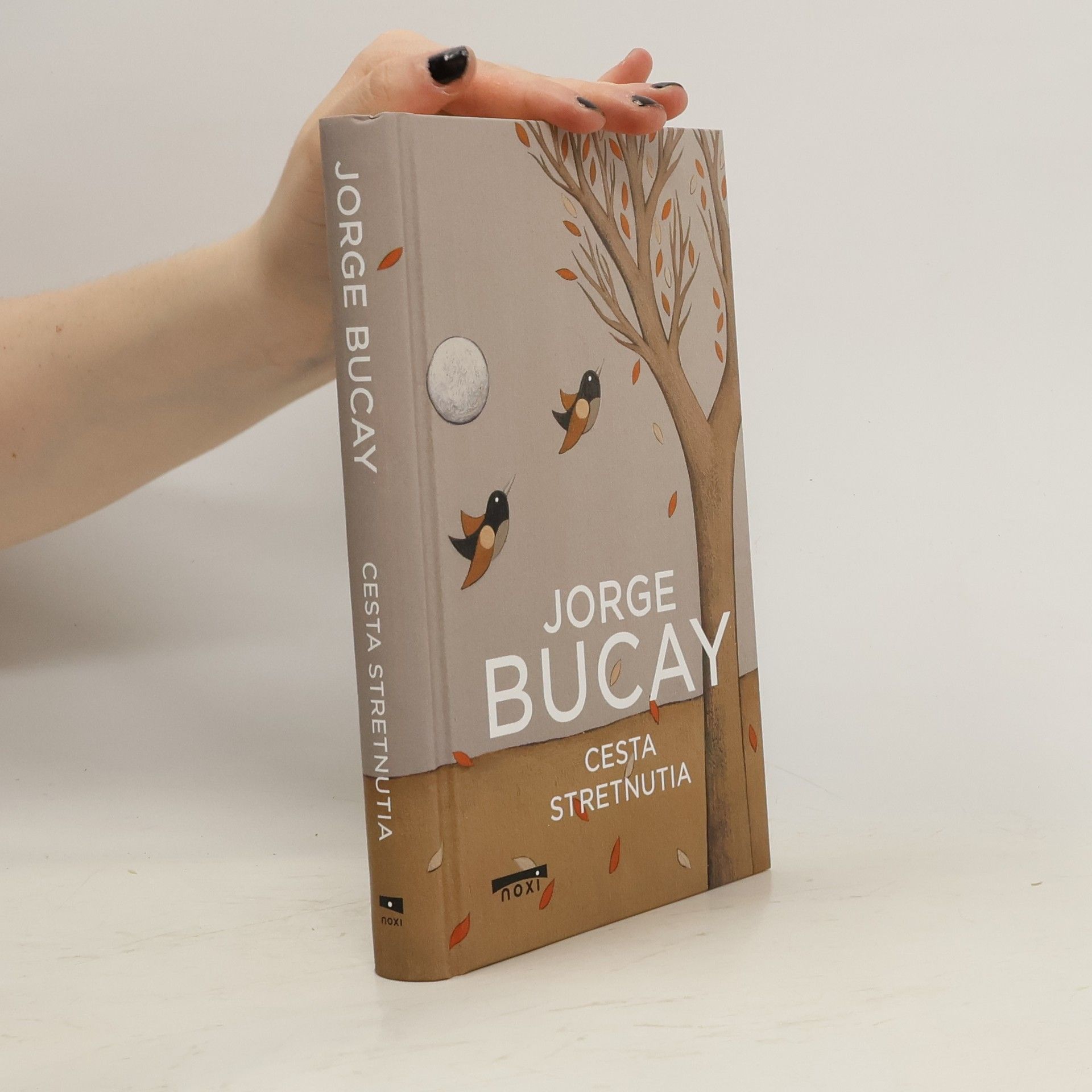 Jorge Bucay Cesta stretnutia