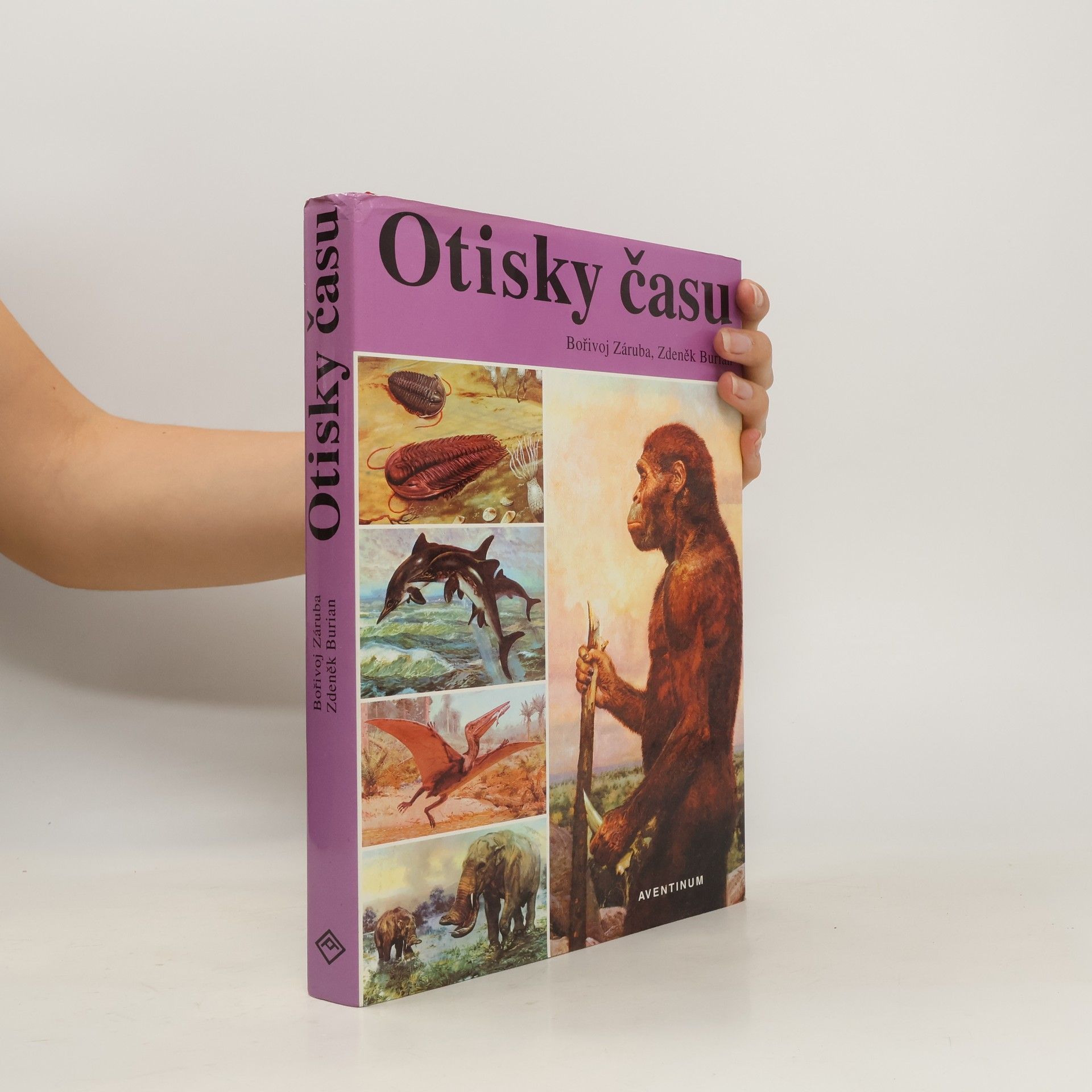 Bořivoj Záruba Otisky času