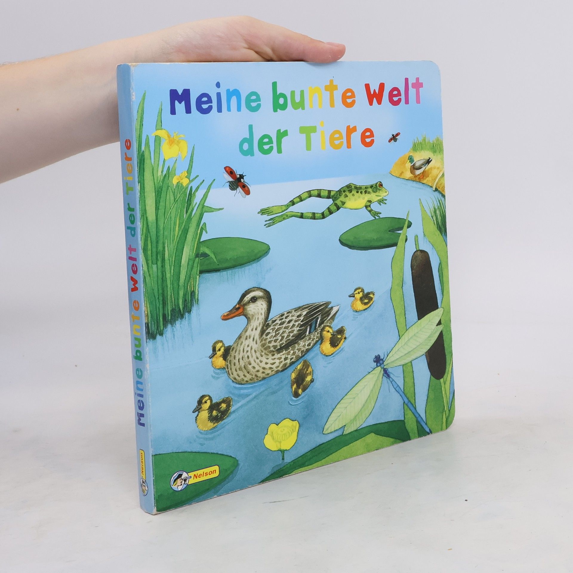 Anne Ebert Meine bunte Welt der Tiere