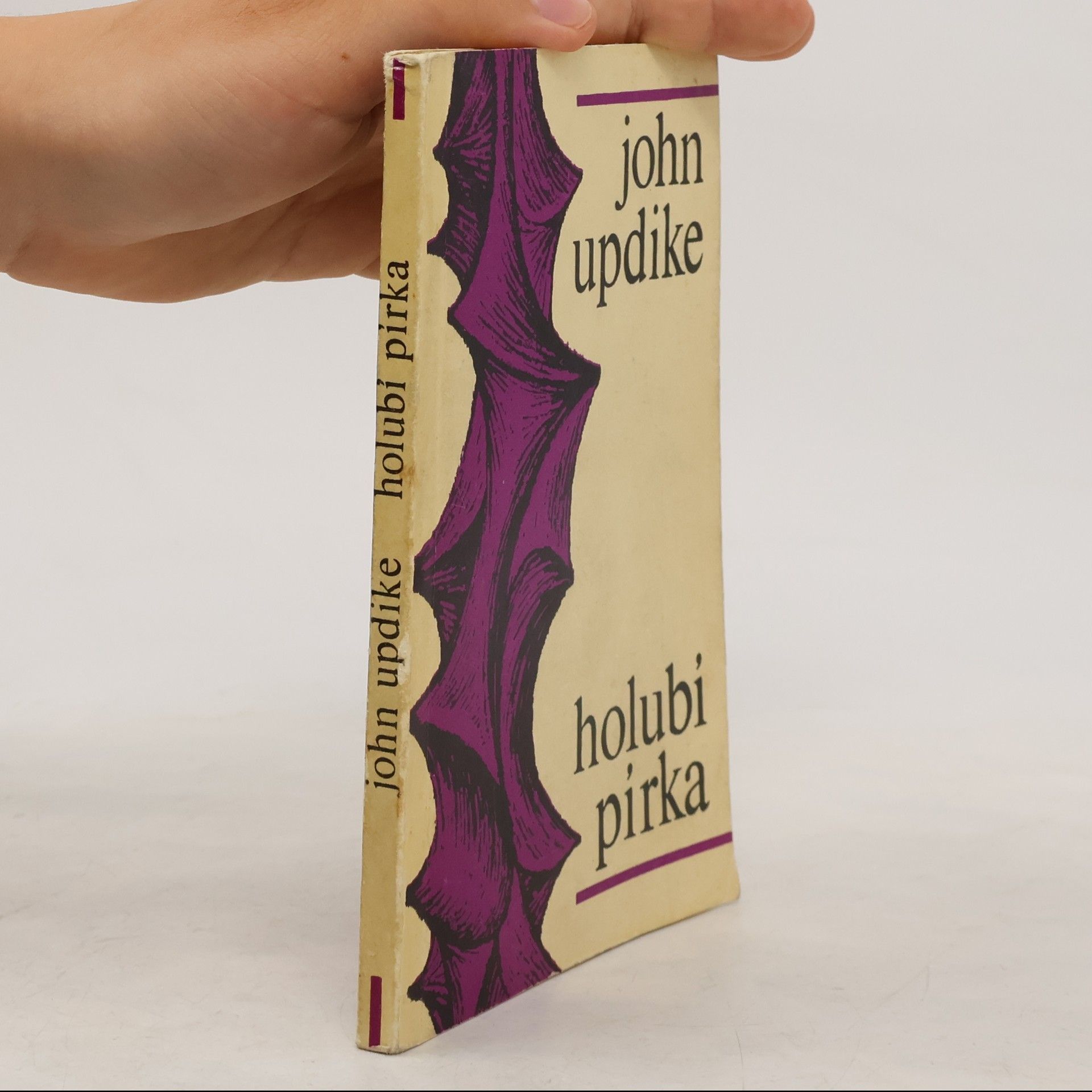 John Updike Holubí pírka