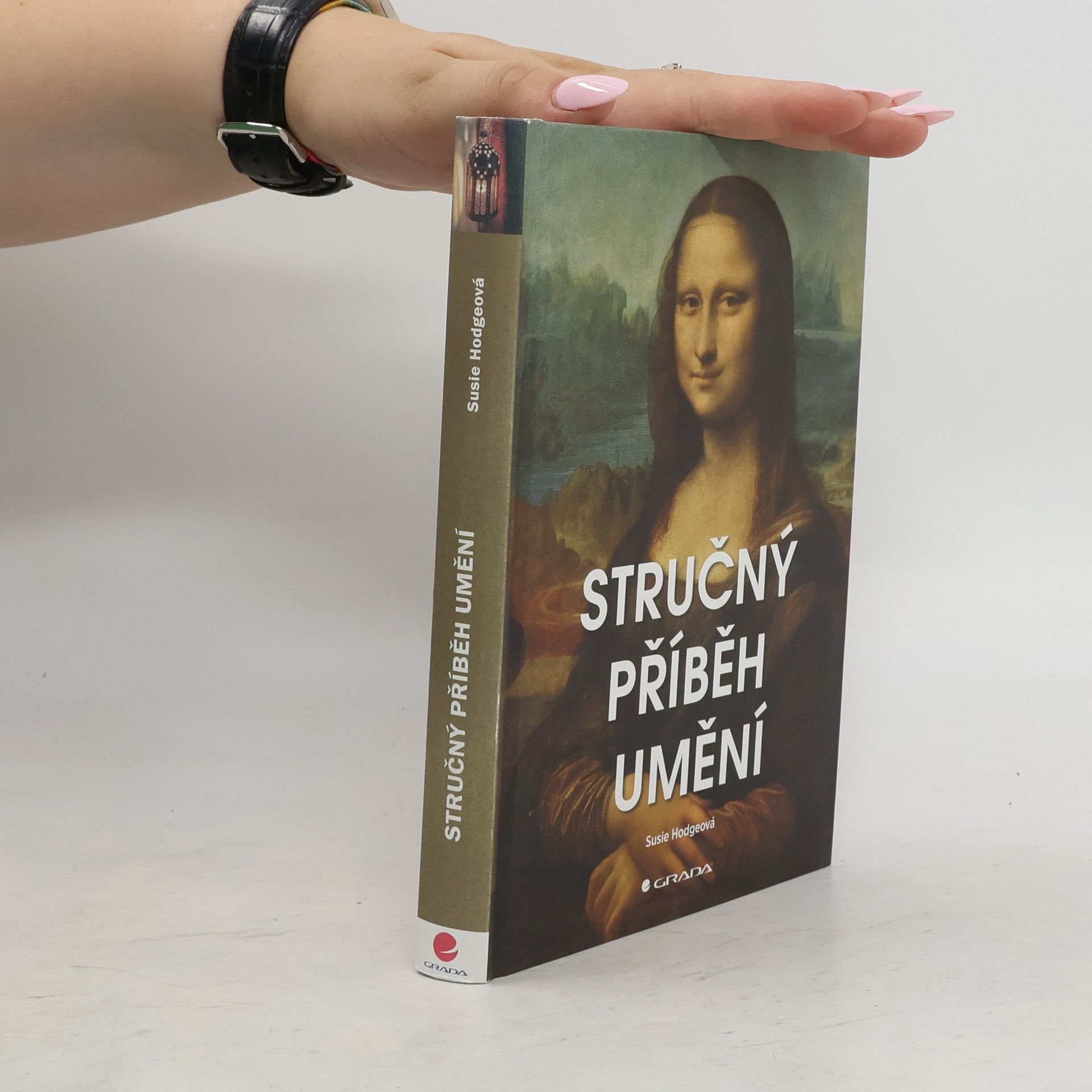 Susie Hodge Stručný příběh umění