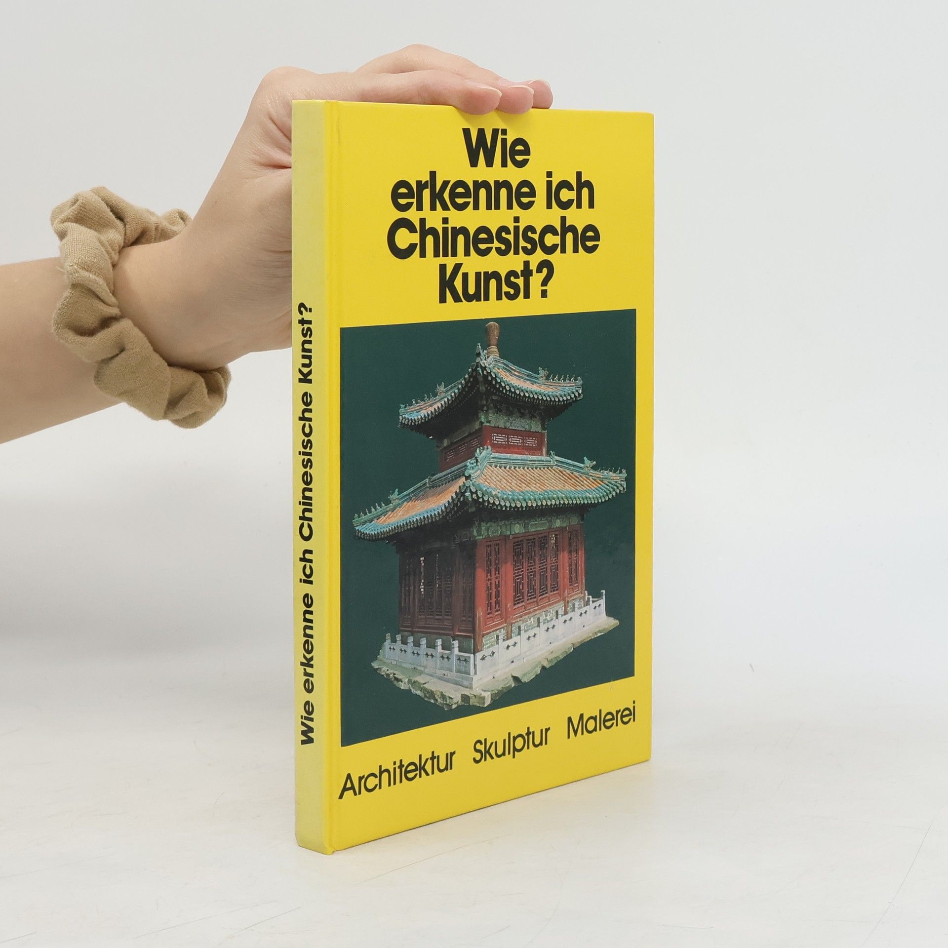Franca Bedin Wie erkenne ich chinesische Kunst?