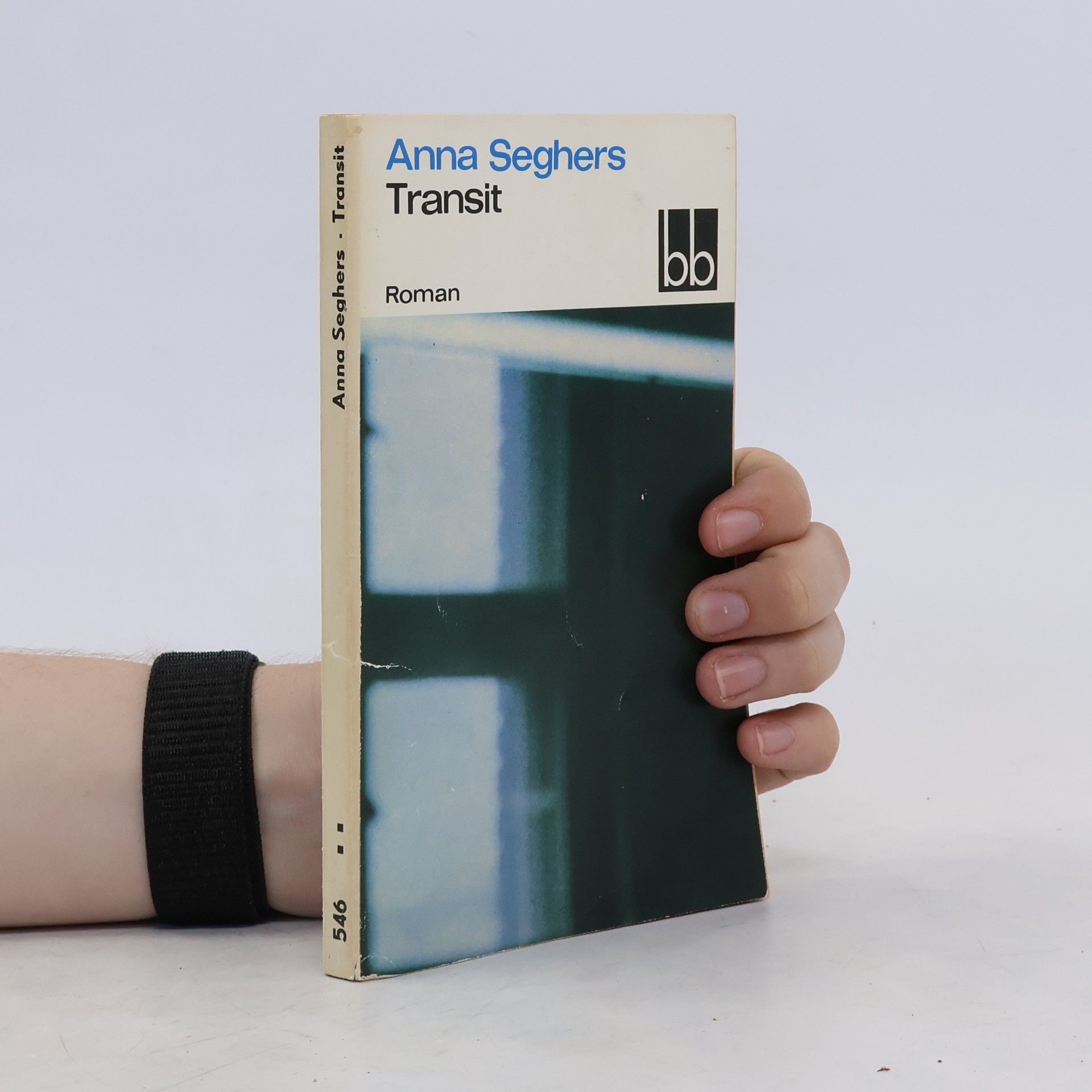 Anna Seghers Transit