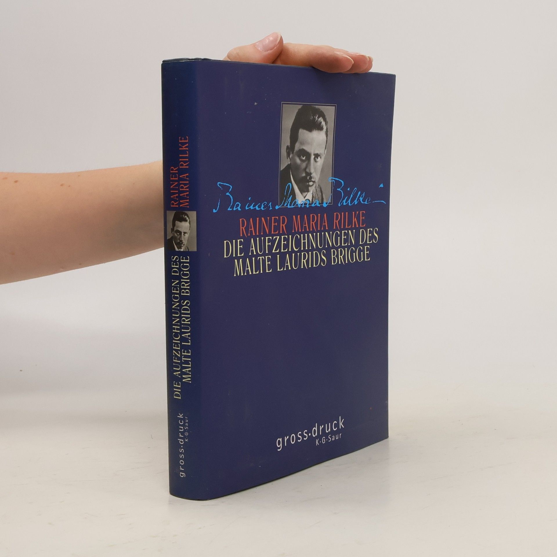 Rainer Maria Rilke Die Aufzeichnungen des Malte Laurids Brigge
