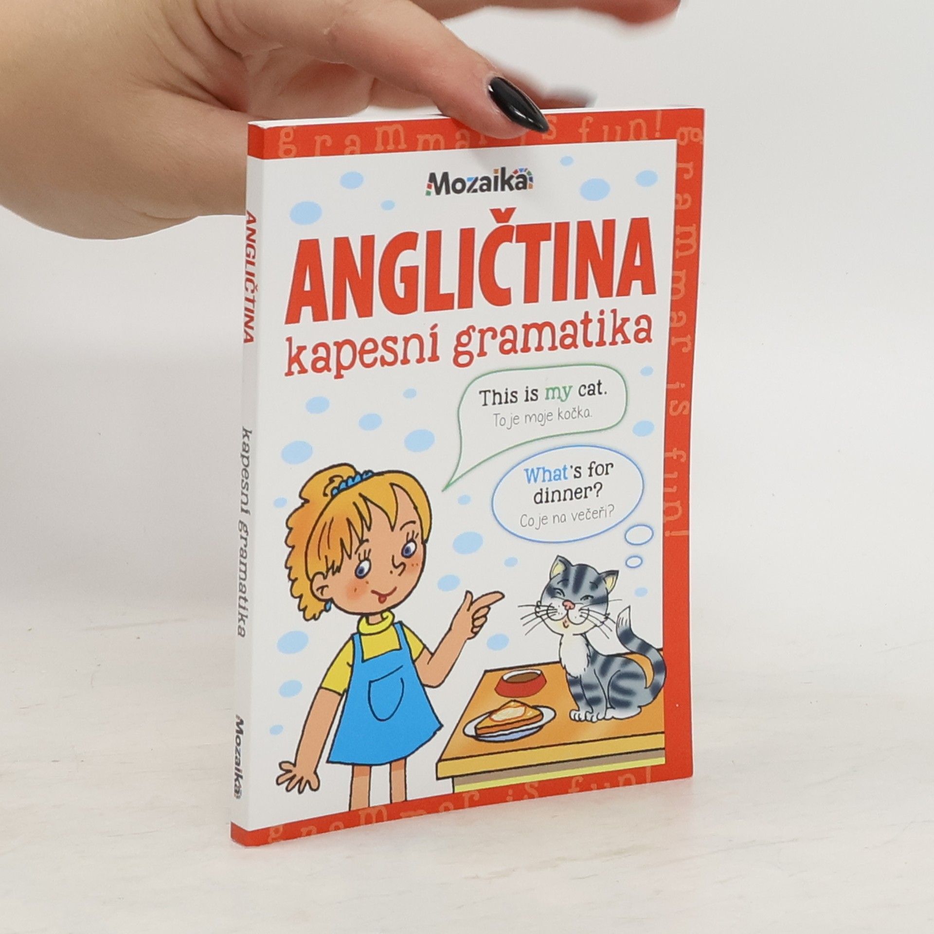 Martina Kutalová Angličtina - kapesní gramatika