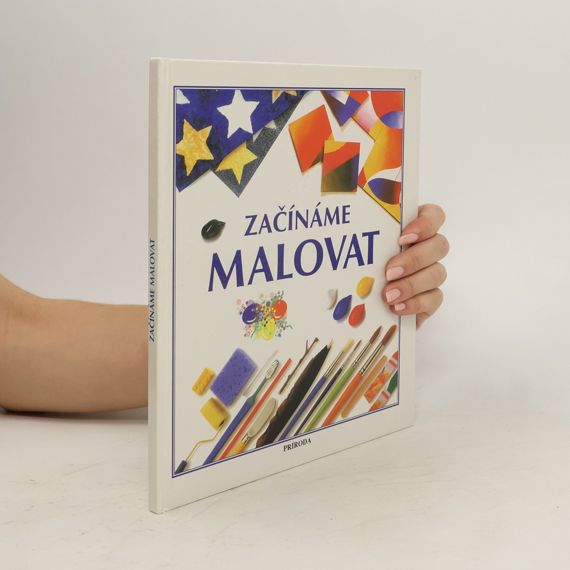 Susan Mayes Začínáme malovat