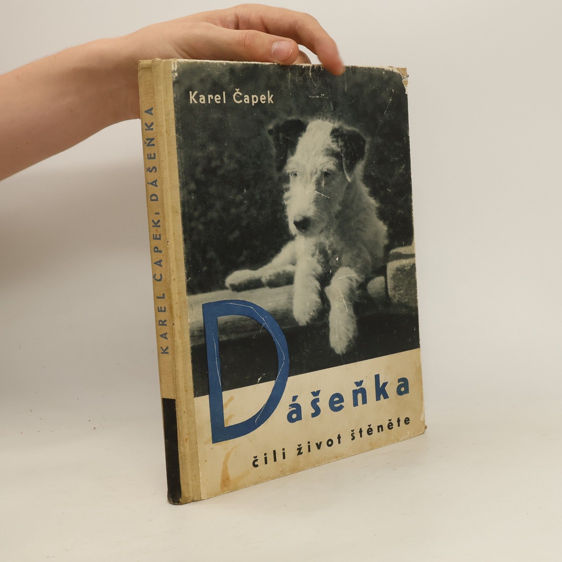 Karel Čapek Dášeňka čili život štěněte