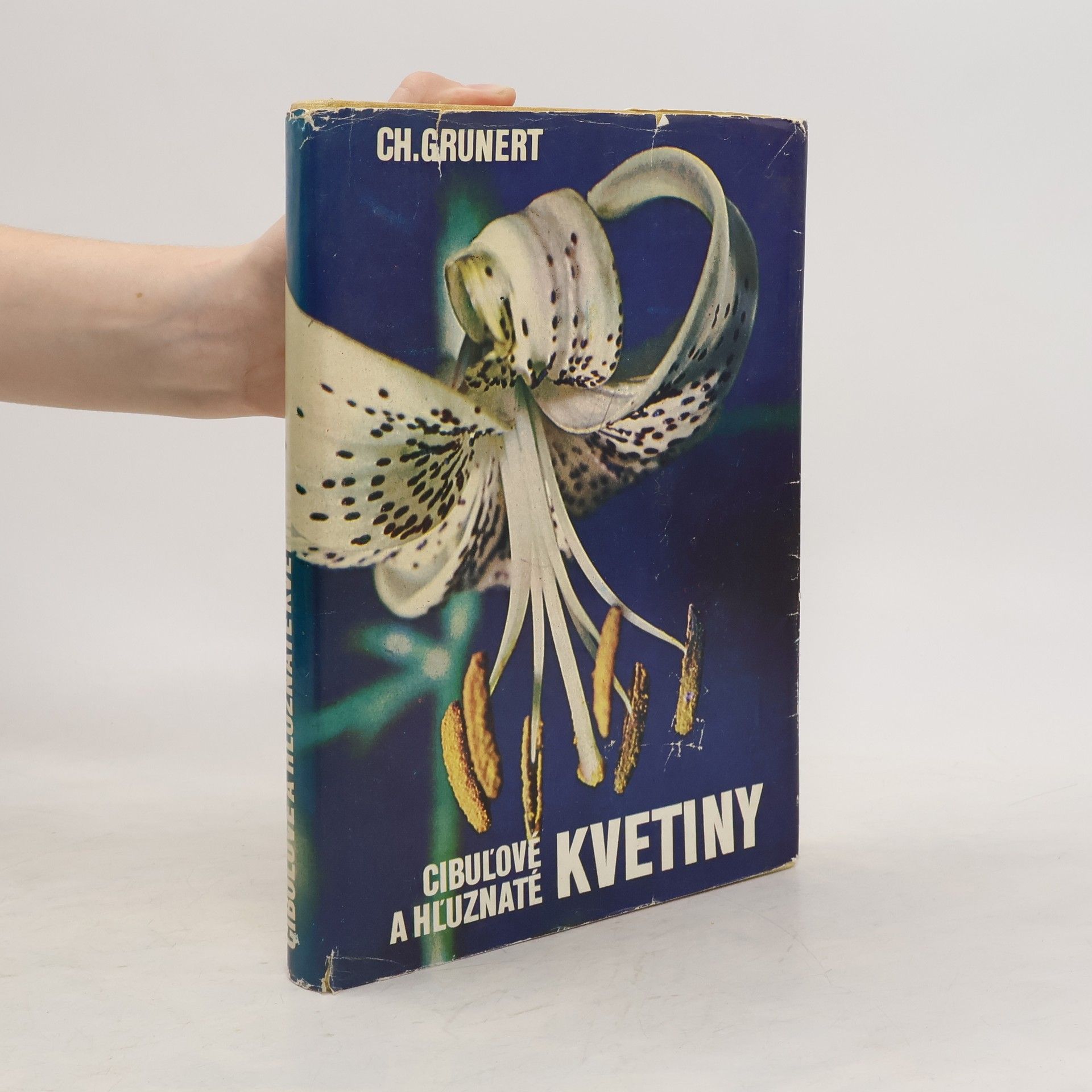 Christian Grunert Cibuľové a hľuznaté kvetiny