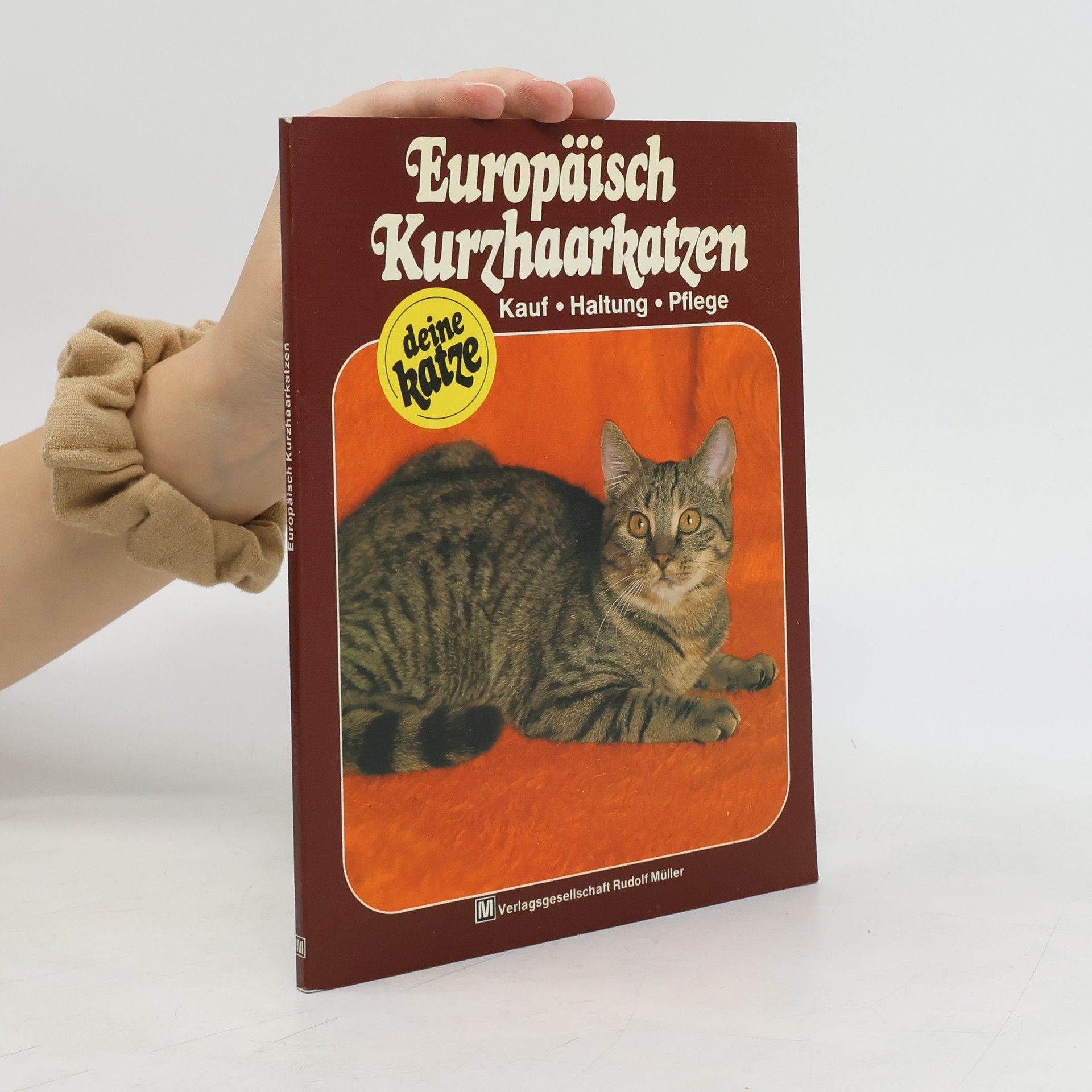 Carola Ruff Europäische Kurzhaarkatzen