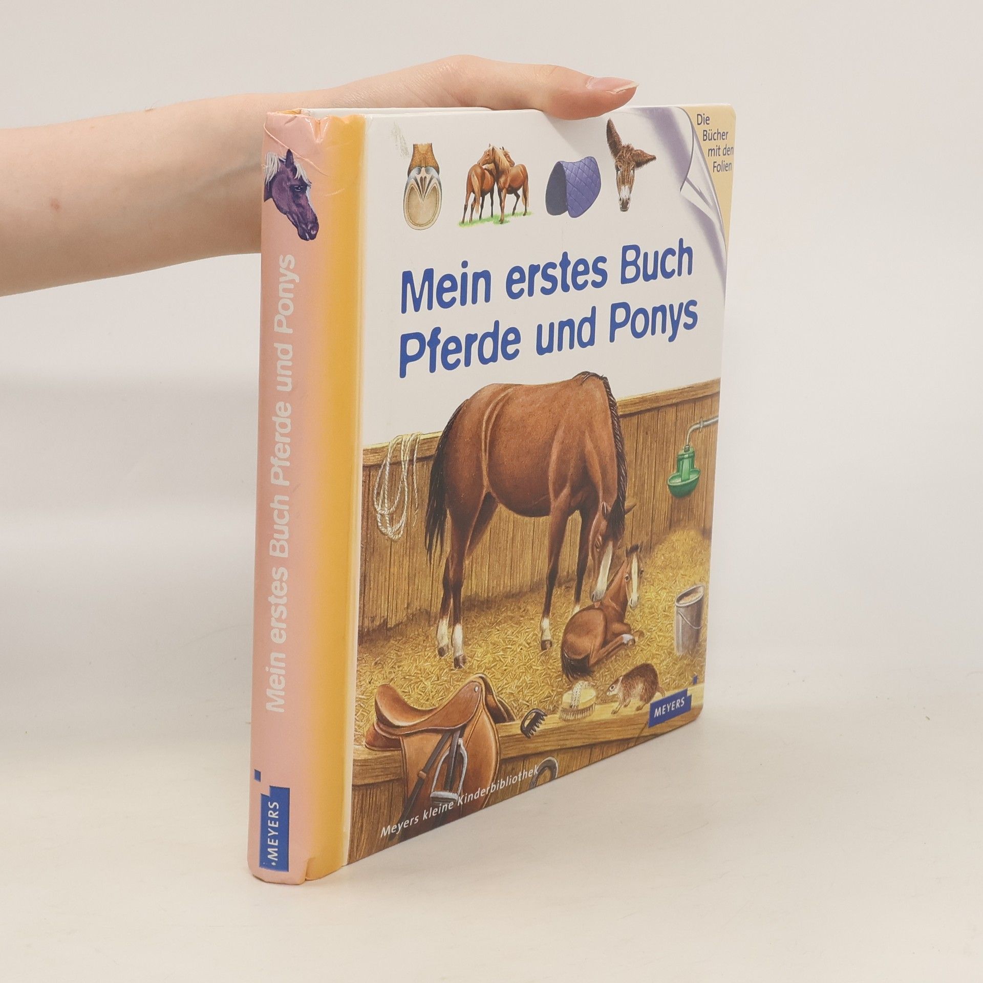 Henri Galeron Mein erstes Buch Pferde und Ponys