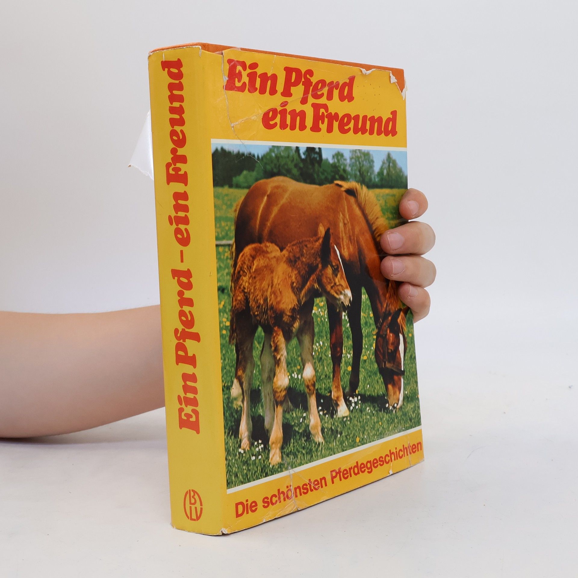 Ute Seesslen Ein Pferd, ein Freund