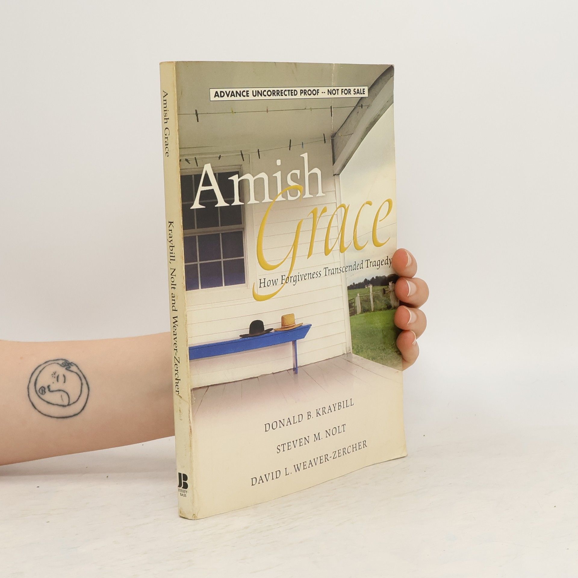 Donald B. Kraybill Amish Grace