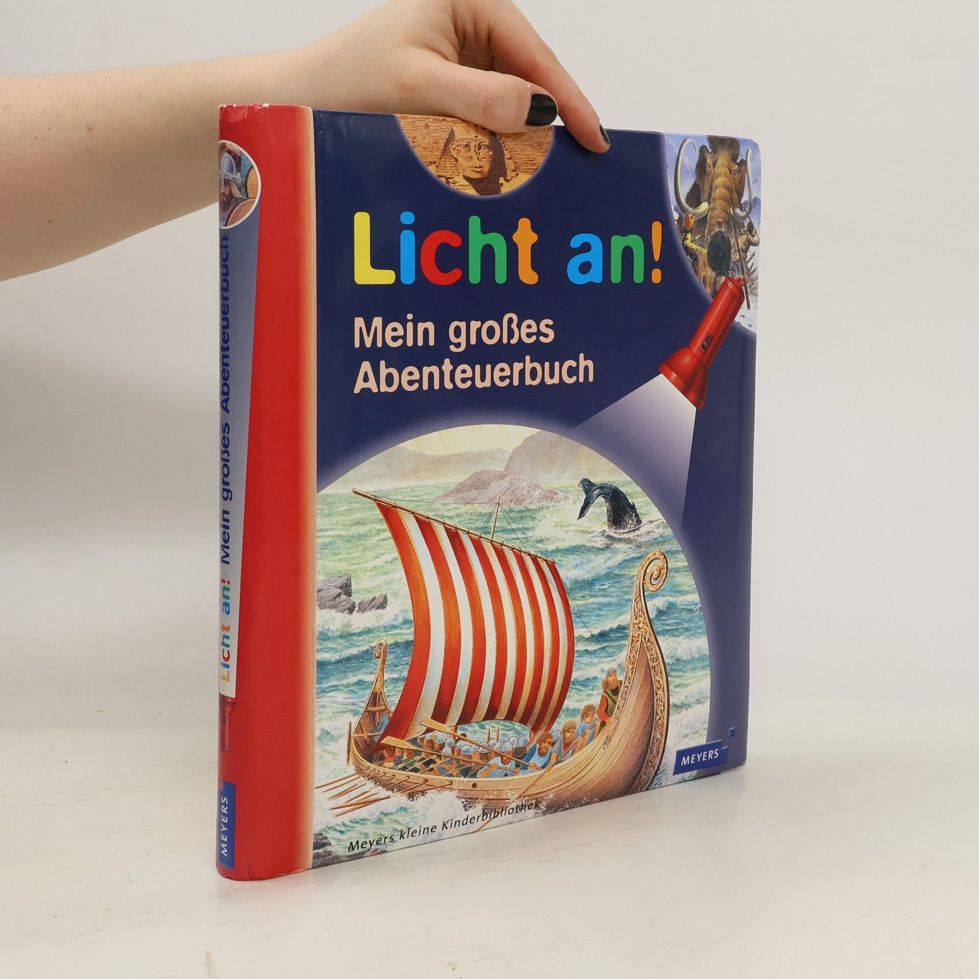 Philippe Biard Licht an! Mein großes Abenteuerbuch