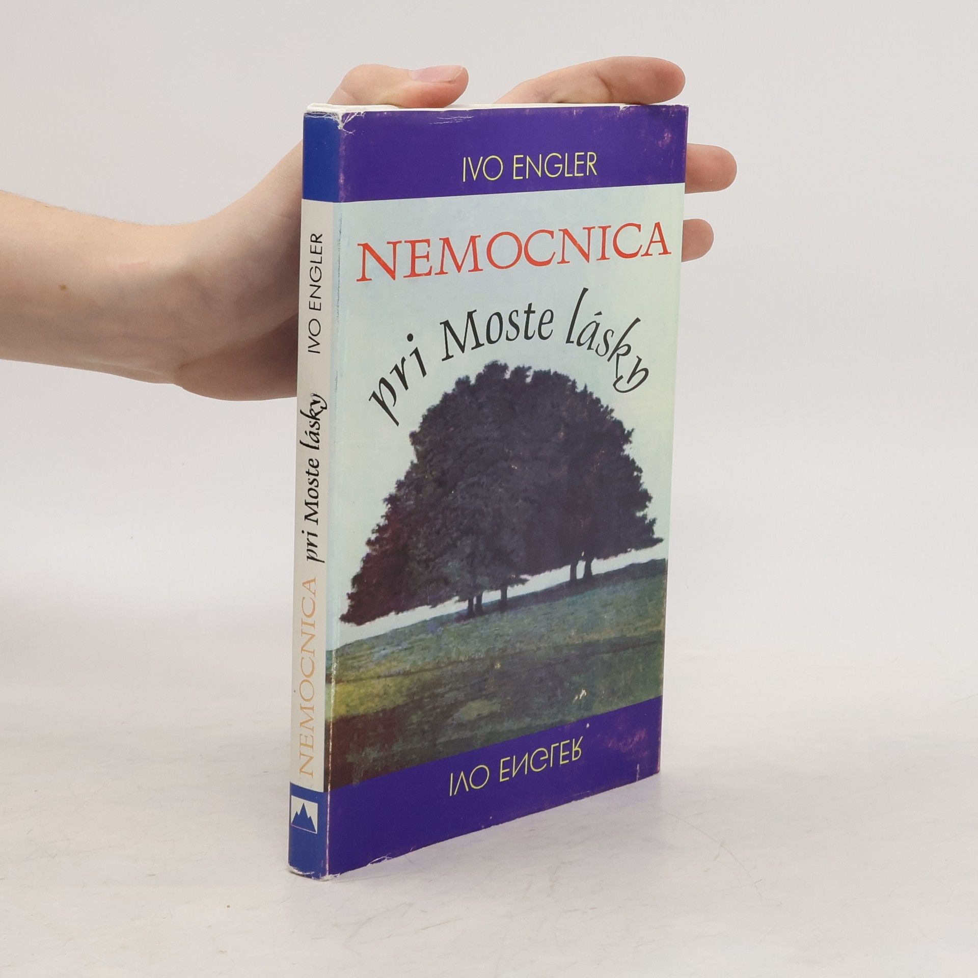 Ivo Engler Nemocnica pri Moste lásky