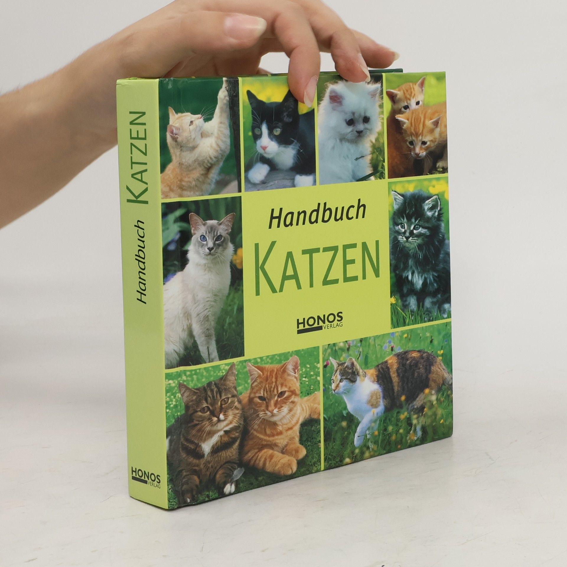 kolektiv Handbuch Katzen