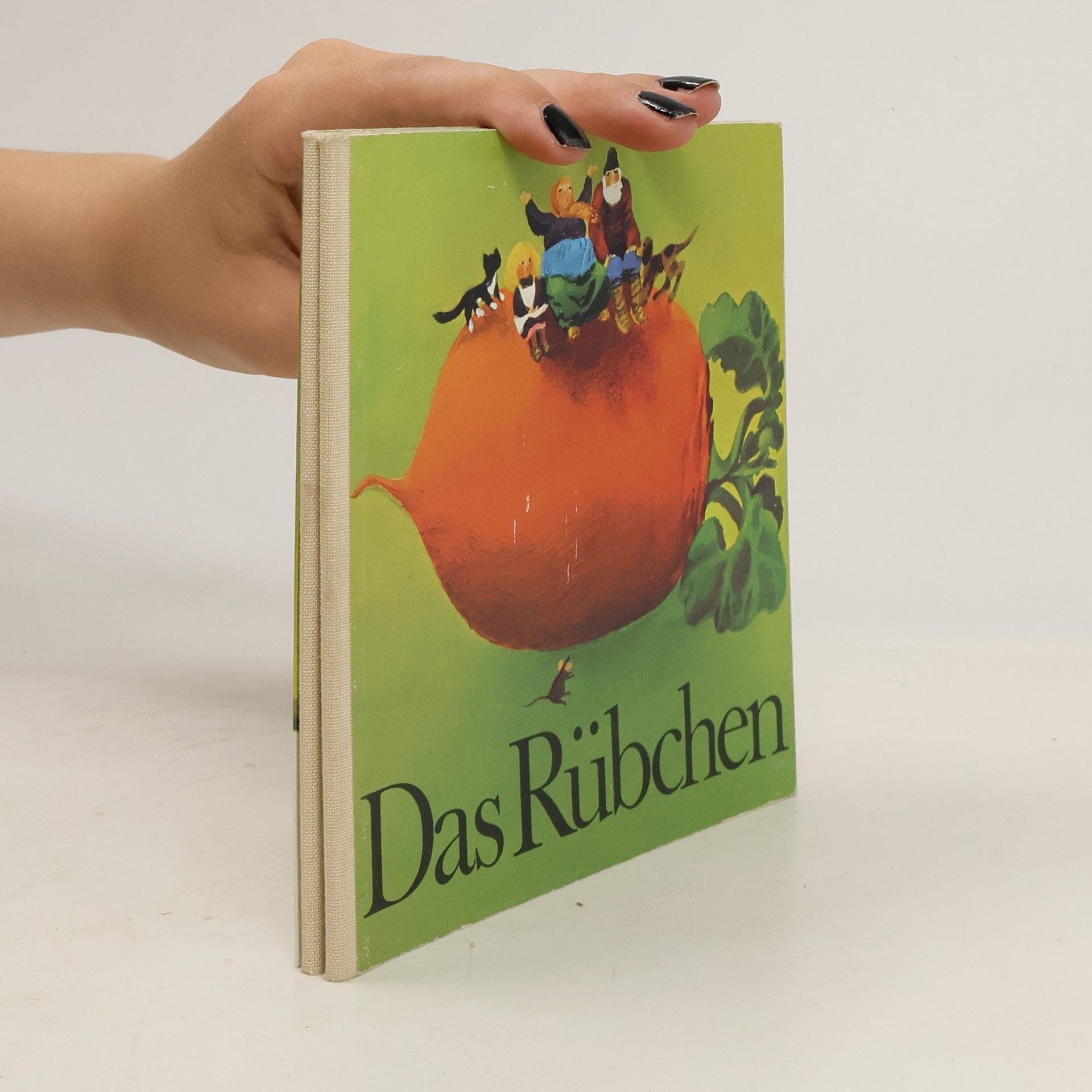 Autorenkollektiv Das Rübchen