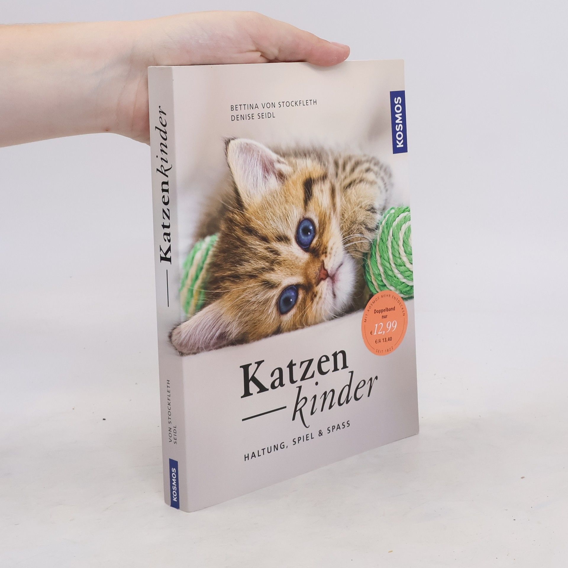 Bettina von Stockfleth Katzenkinder
