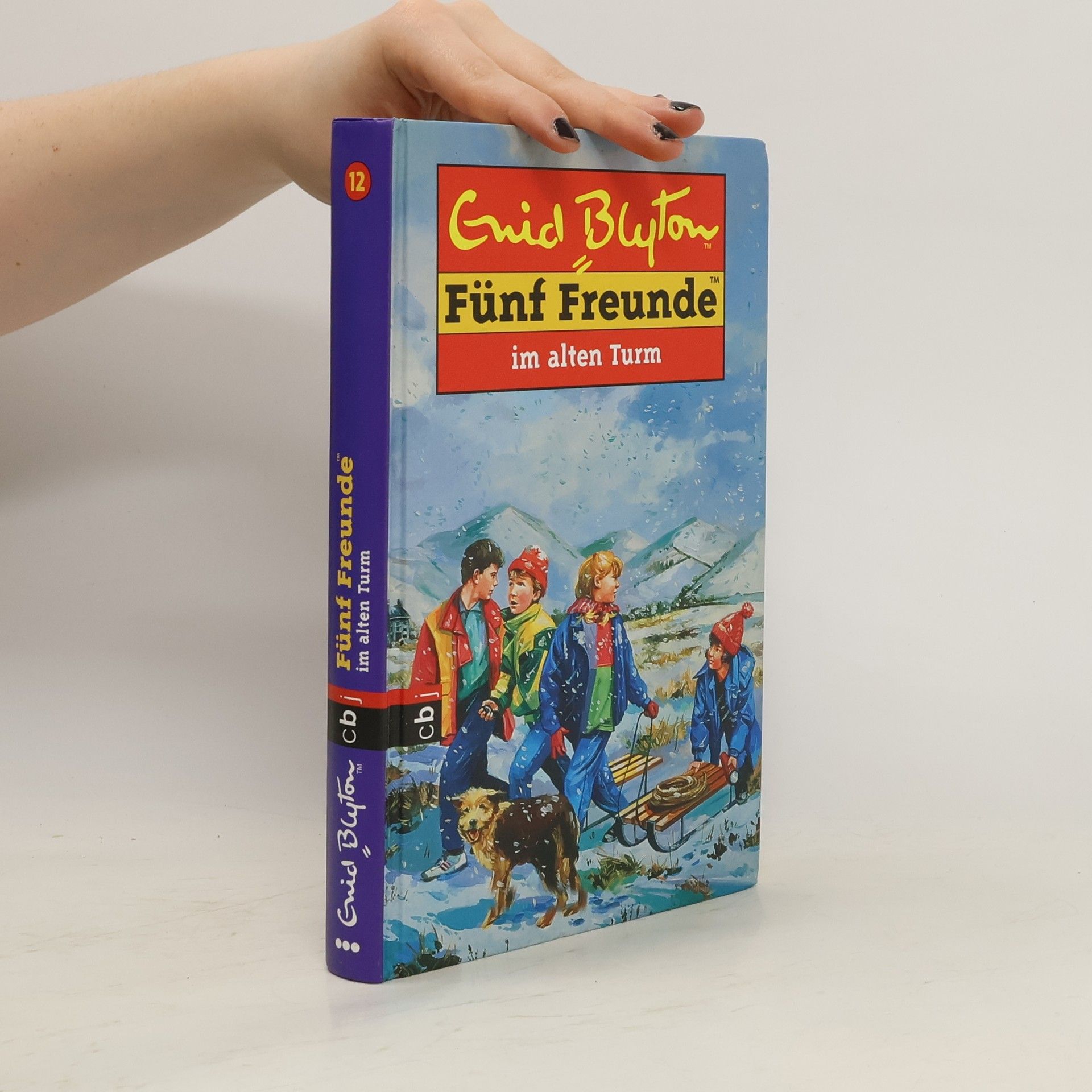 Enid Blyton Fünf Freunde im Alten Turm