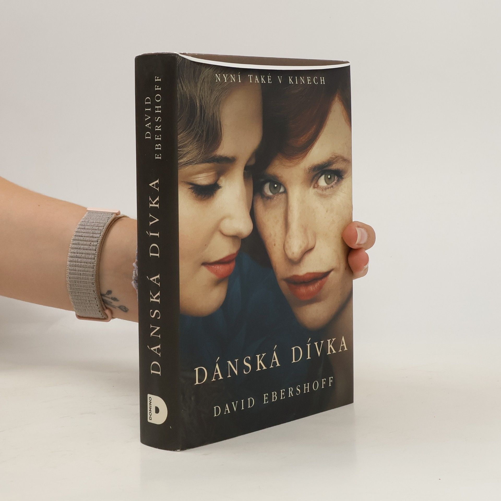 David Ebershoff Dánská dívka