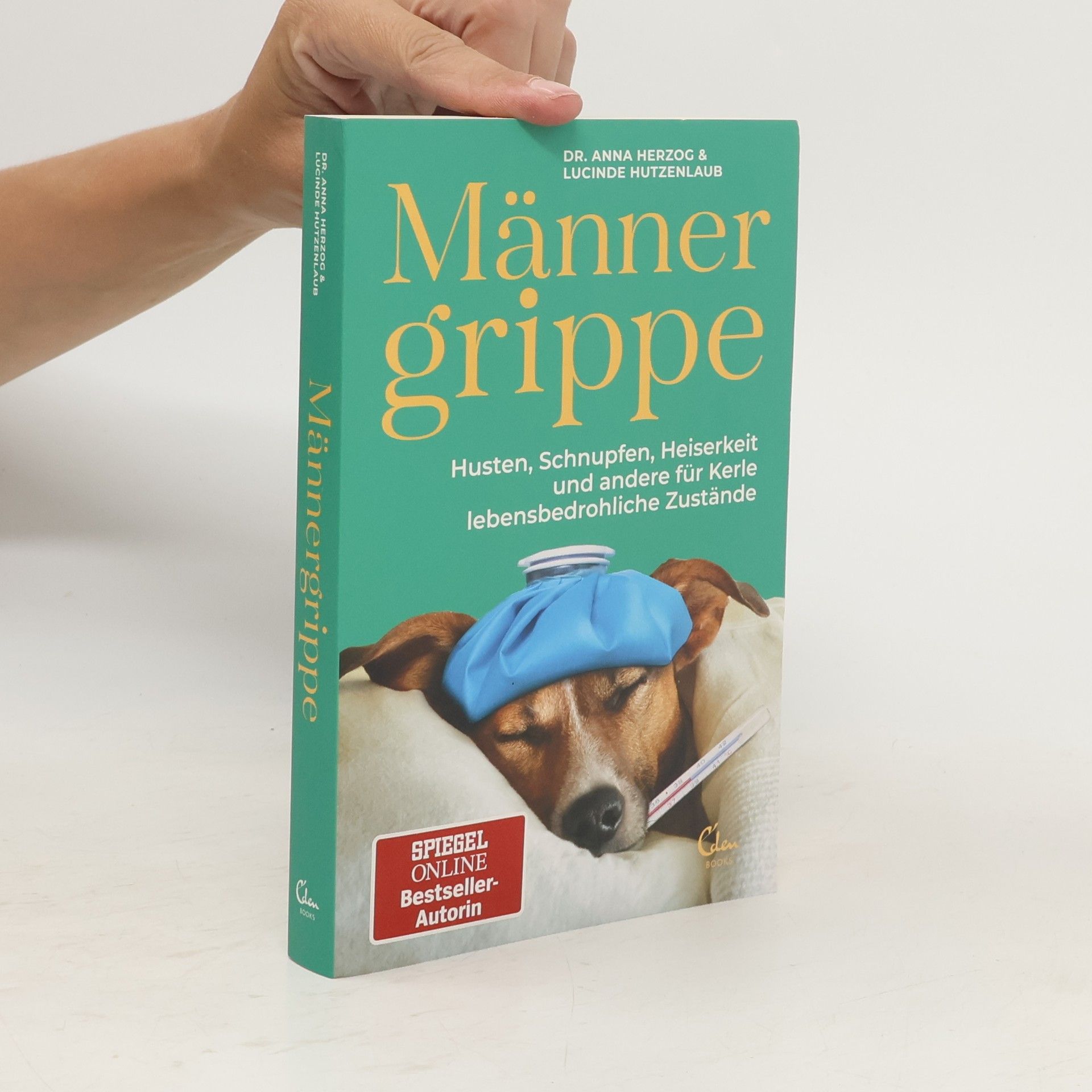 Anna Herzog Männergrippe