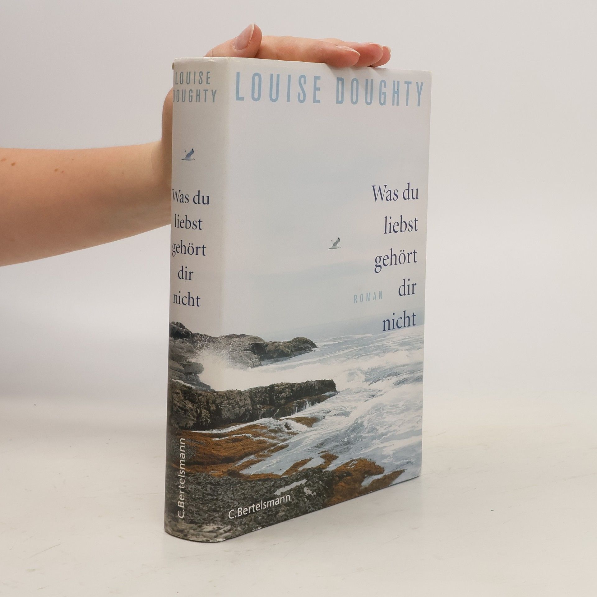 Louise Doughty Was du liebst, gehört dir nicht