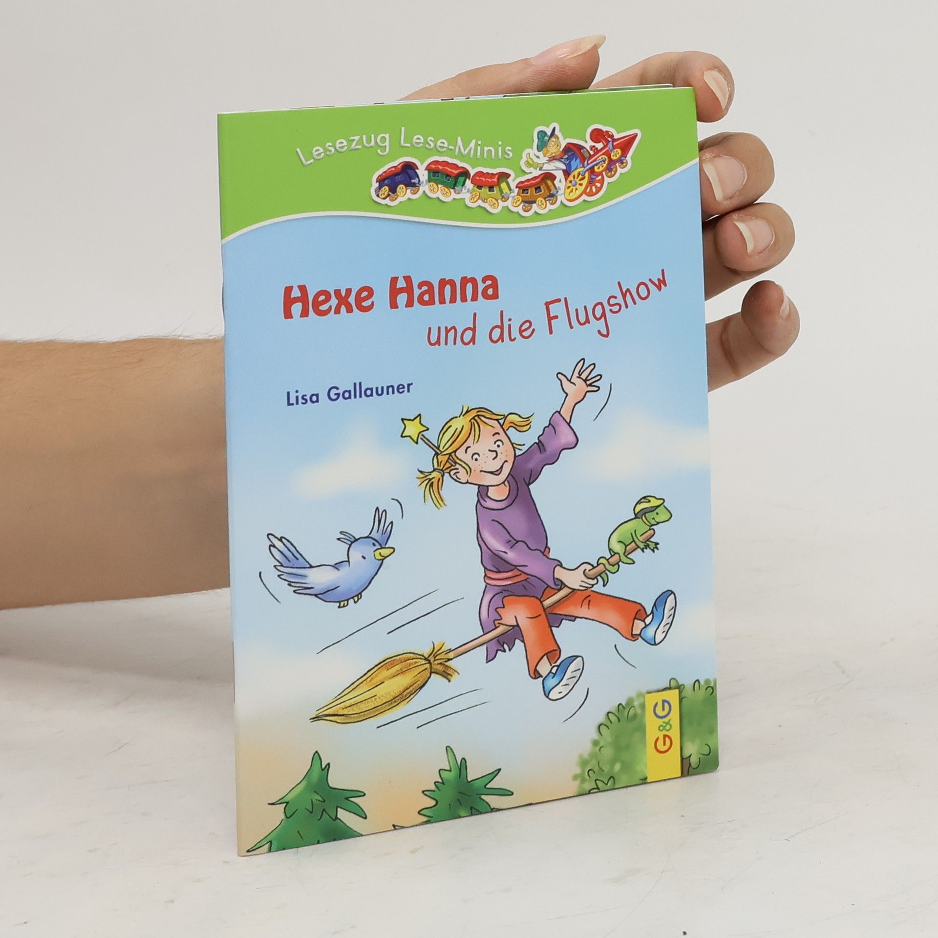 Lisa Gallauner Hexe Hanna und die Flugshow