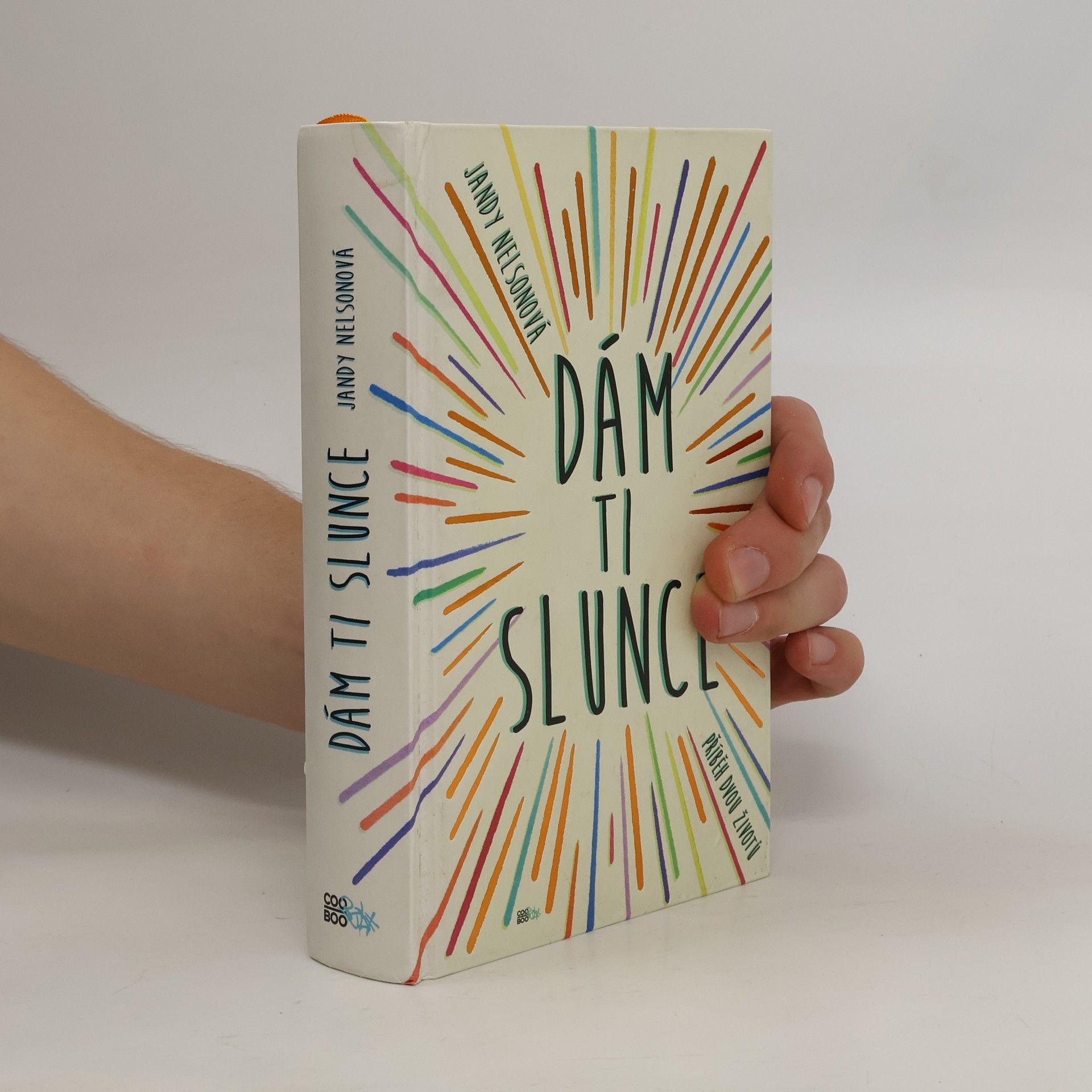Jandy Nelson Dám ti slunce