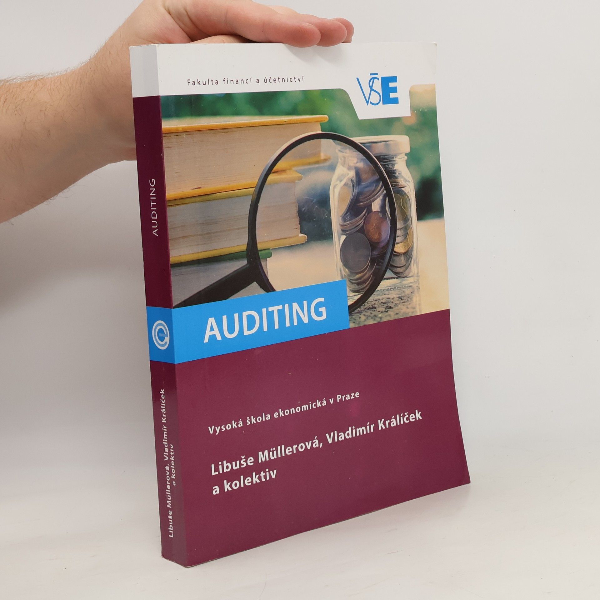 Libuše Müllerová Auditing