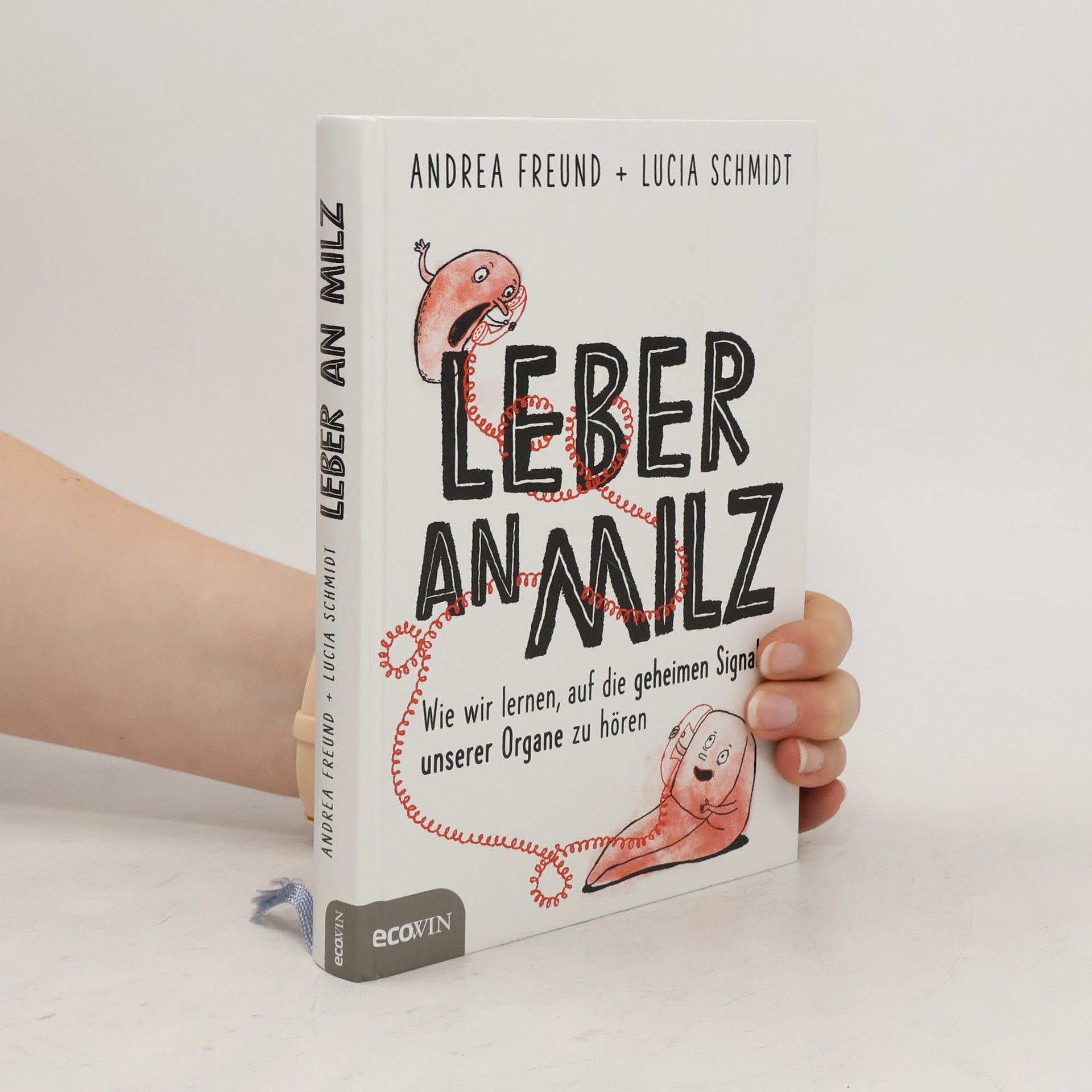 Andrea Freund Leber an Milz
