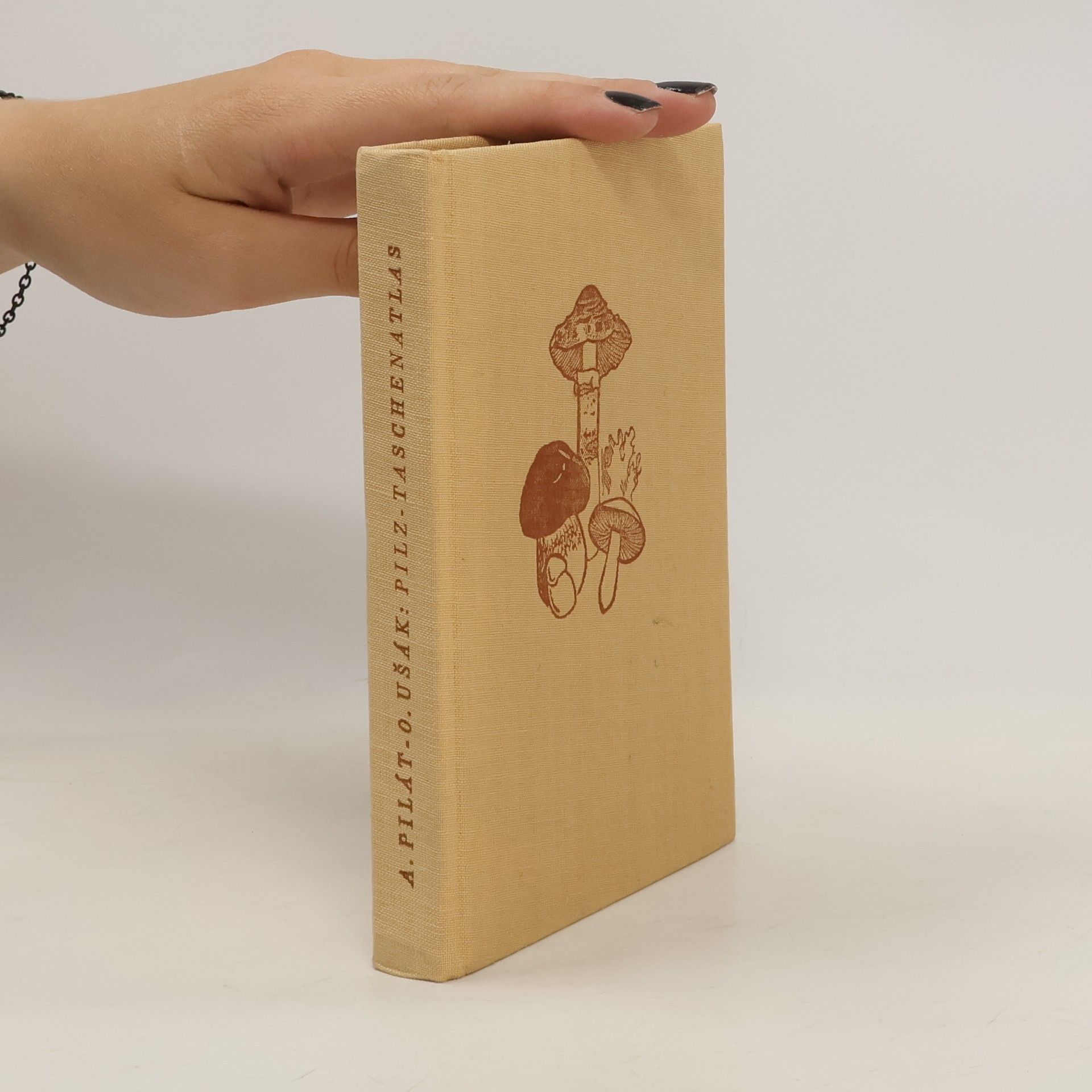 Autorenkollektiv Pilz-Taschenatlas
